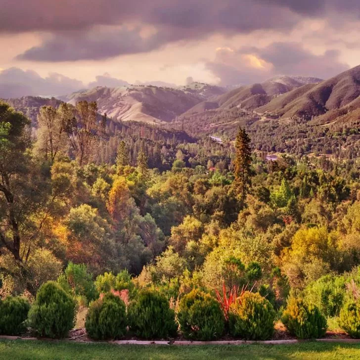 Mountain view in Bella Vista Bed and Breakfast