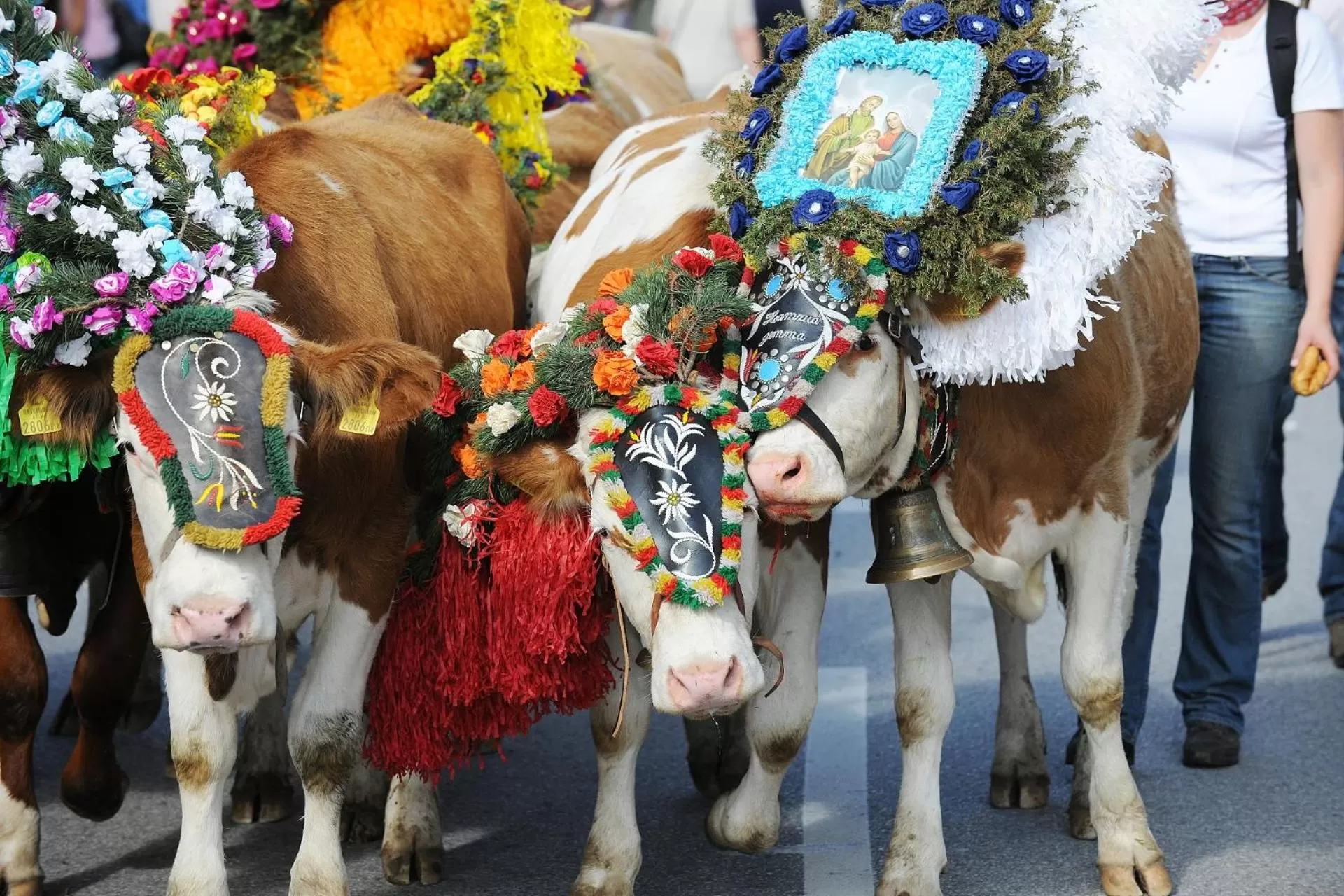 Your Home - City Apartment in Kufstein