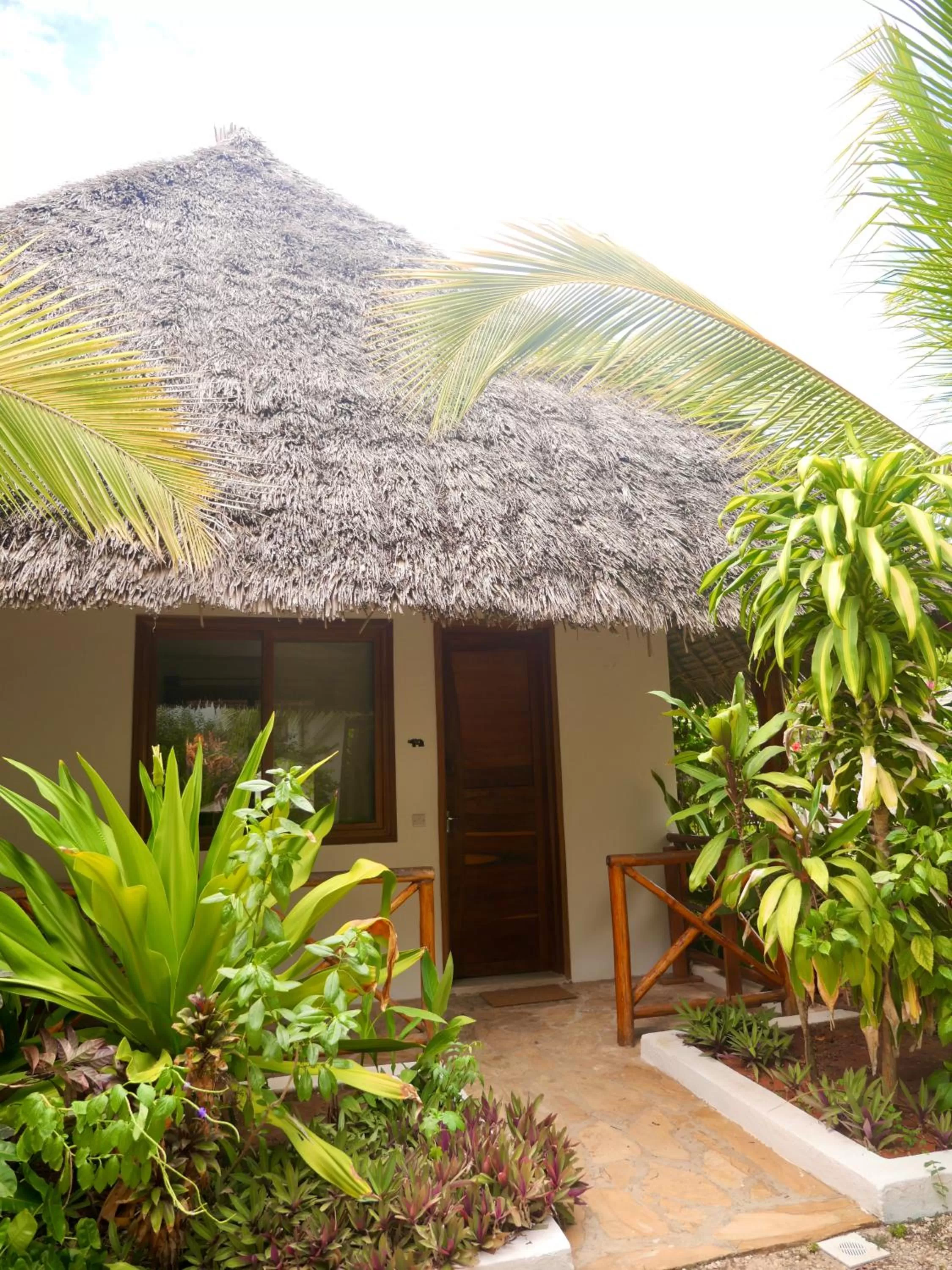 Balcony/Terrace in Aluna Nungwi