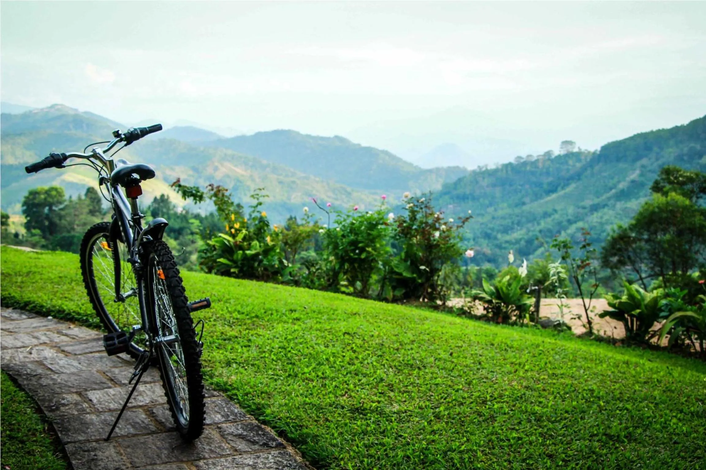 Natural landscape in Hatale Tea Estate Bungalow
