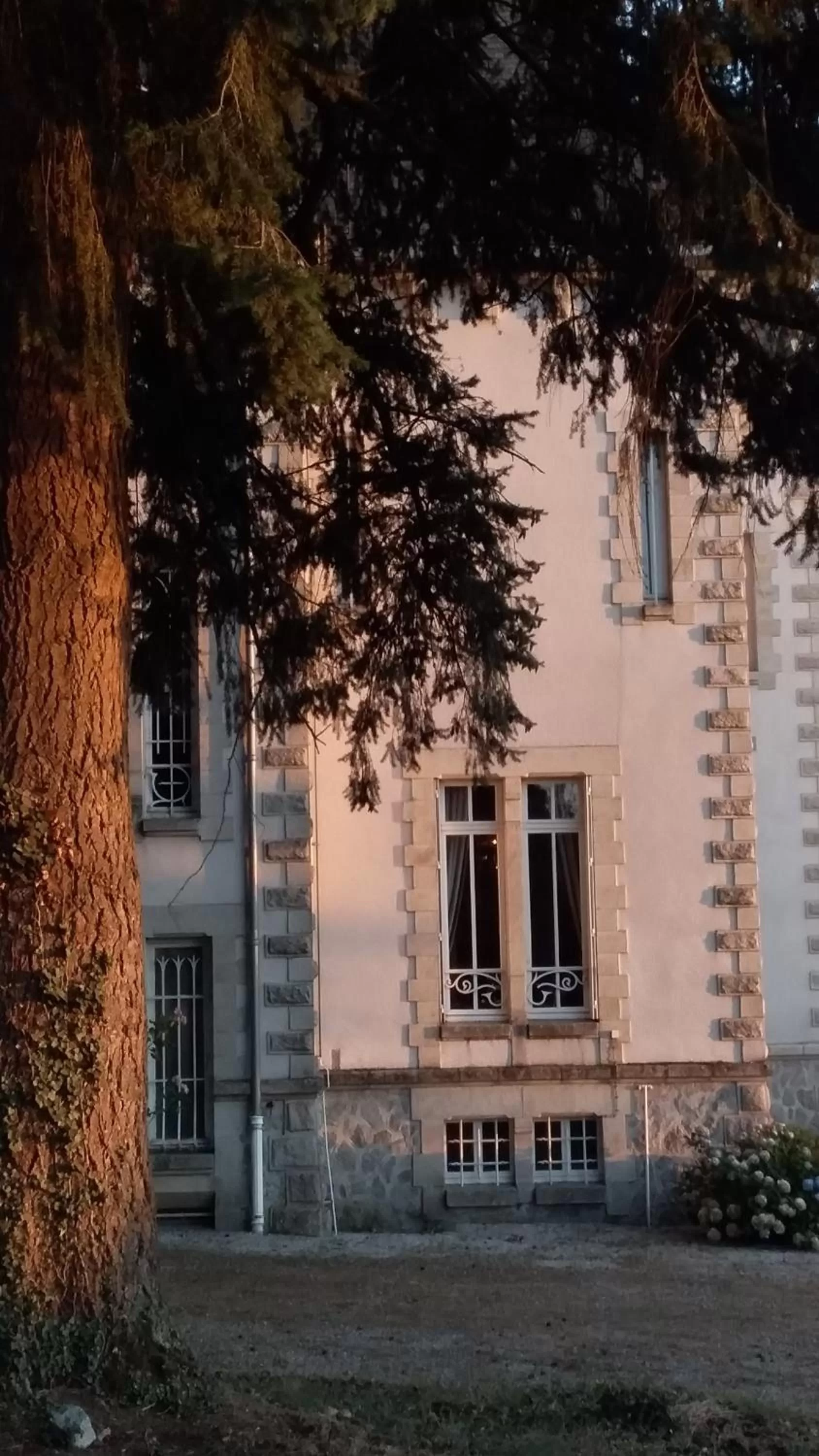 Property Building in Chateau Maleplane