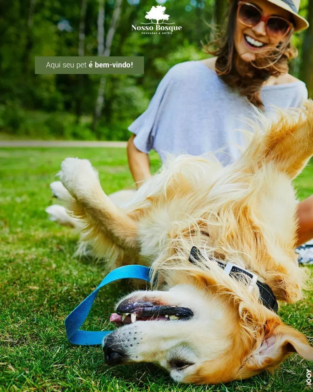 Animals in Hotel Nosso Bosque