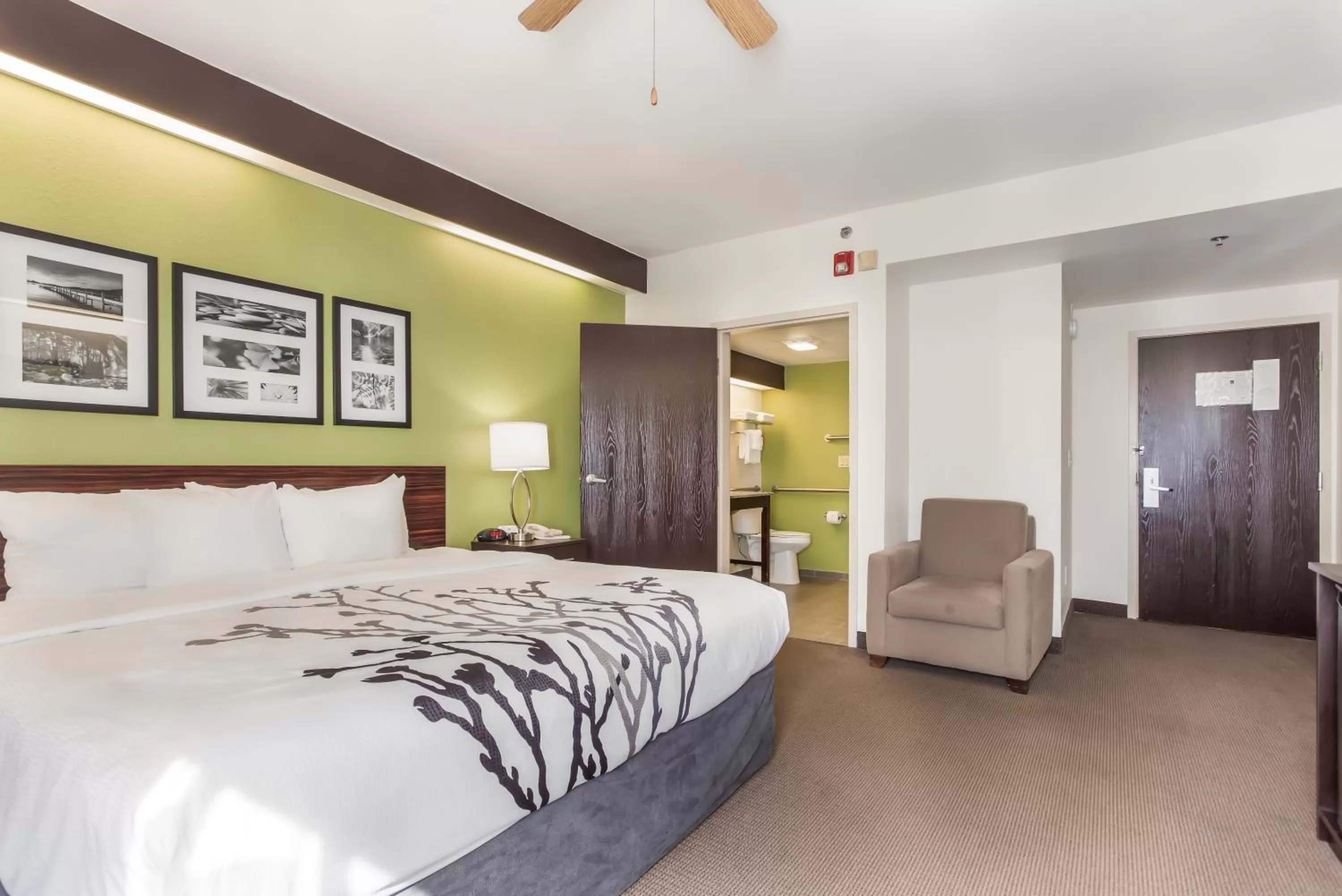 Photo of the whole room, Bed in Sleep Inn Little River - North Myrtle Beach