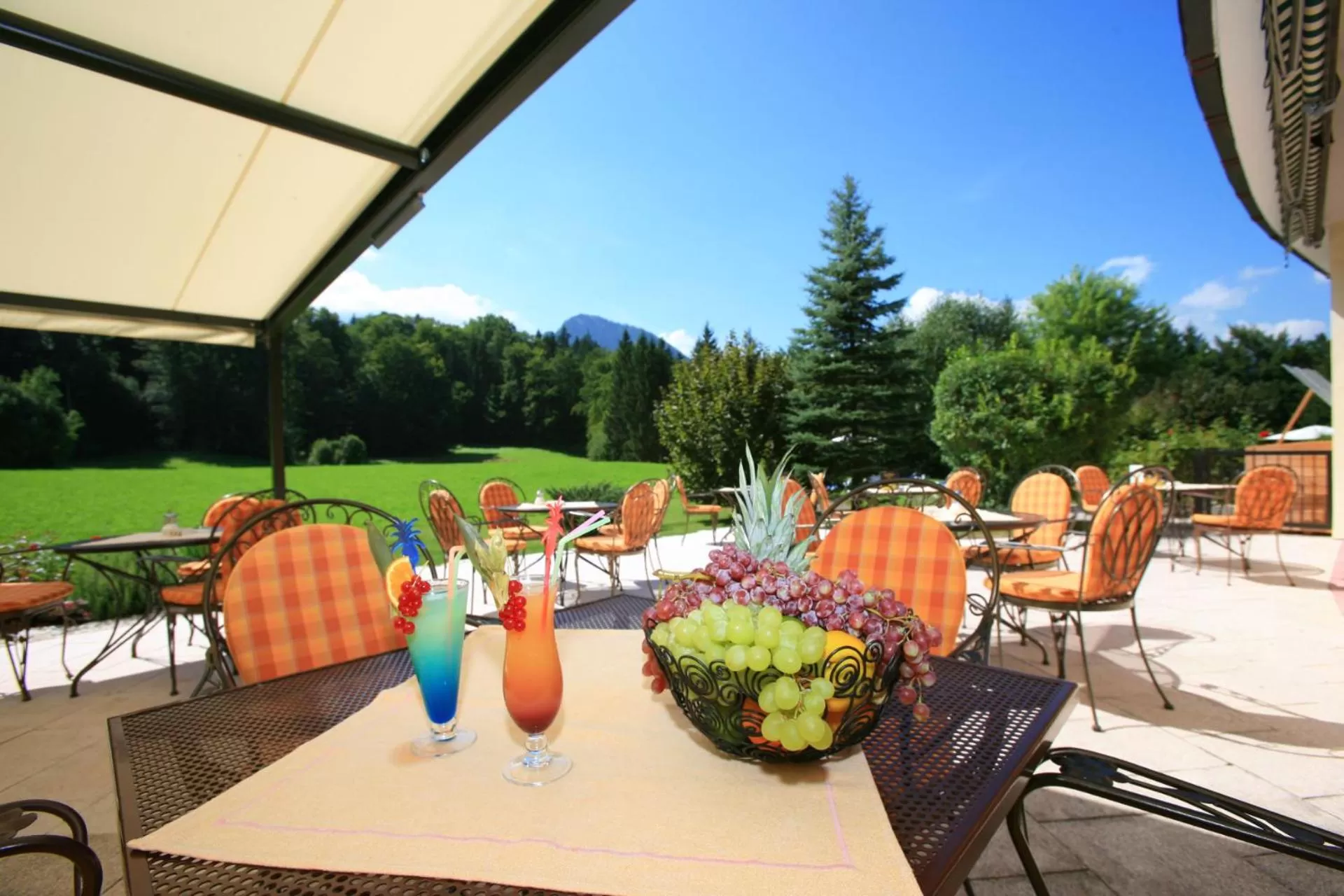 Summer in Alm- & Wellnesshotel Alpenhof