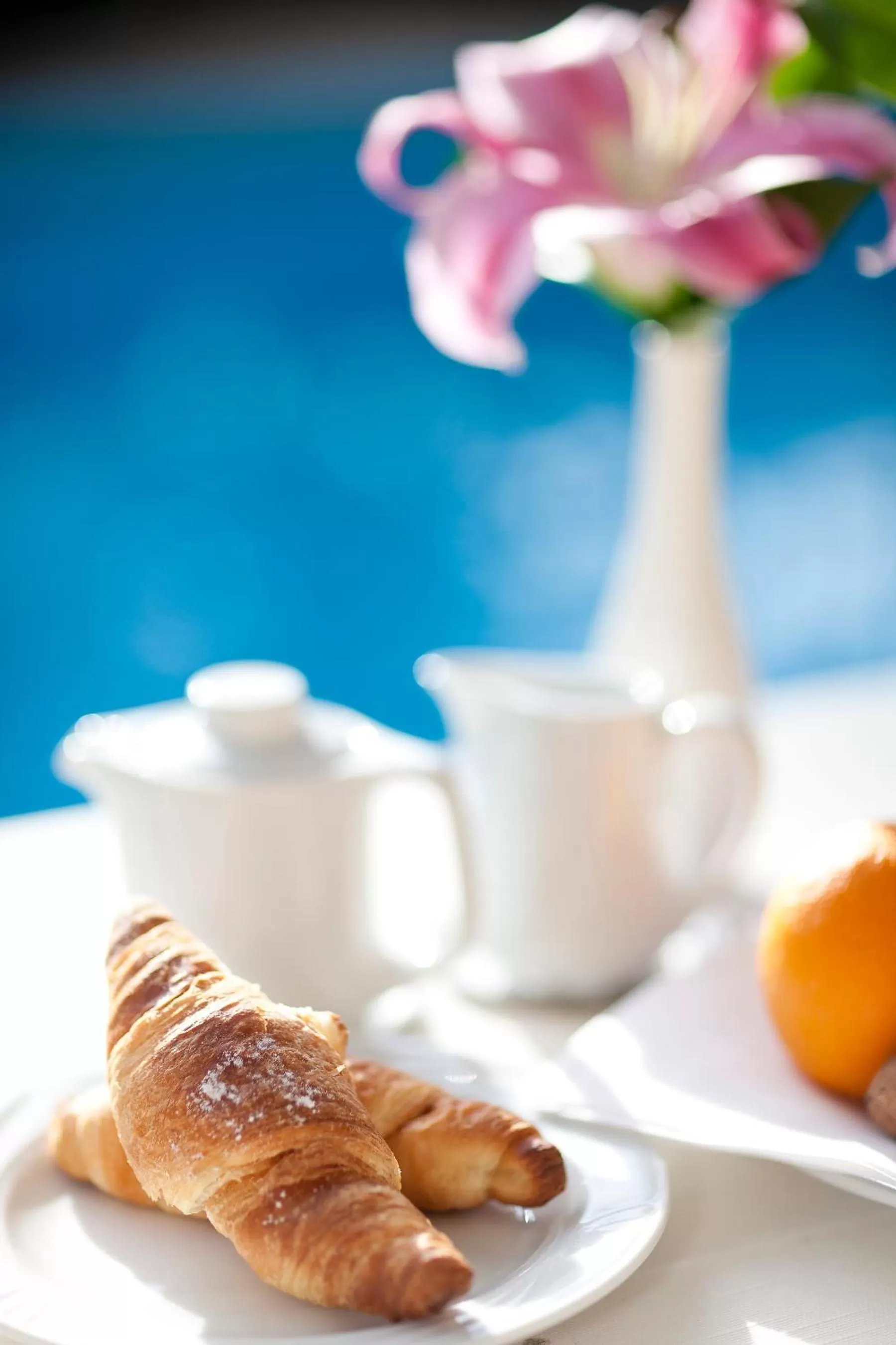 Restaurant/places to eat in Hotel Aster