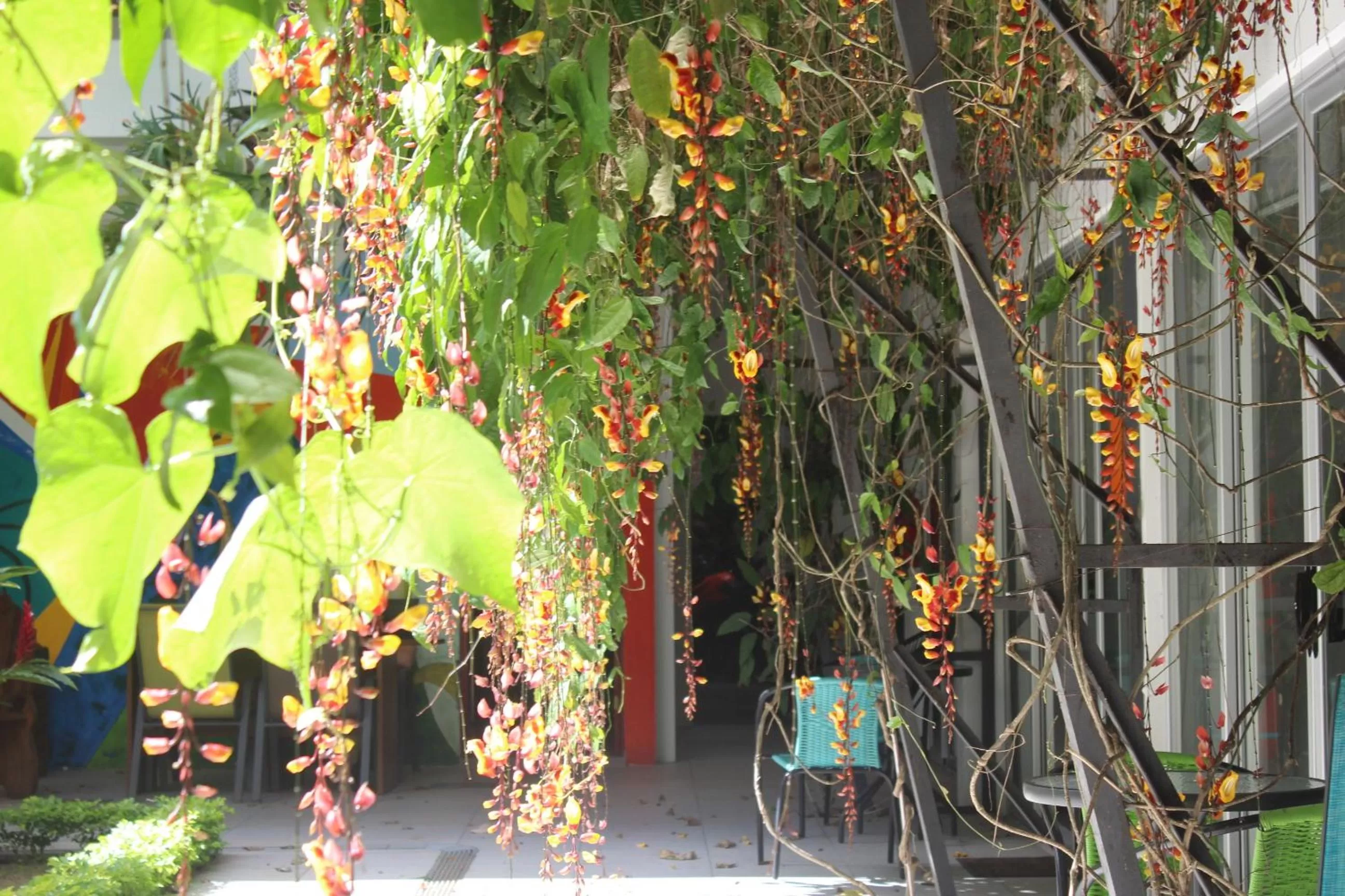 Cando Living Apartments in Central Avenue