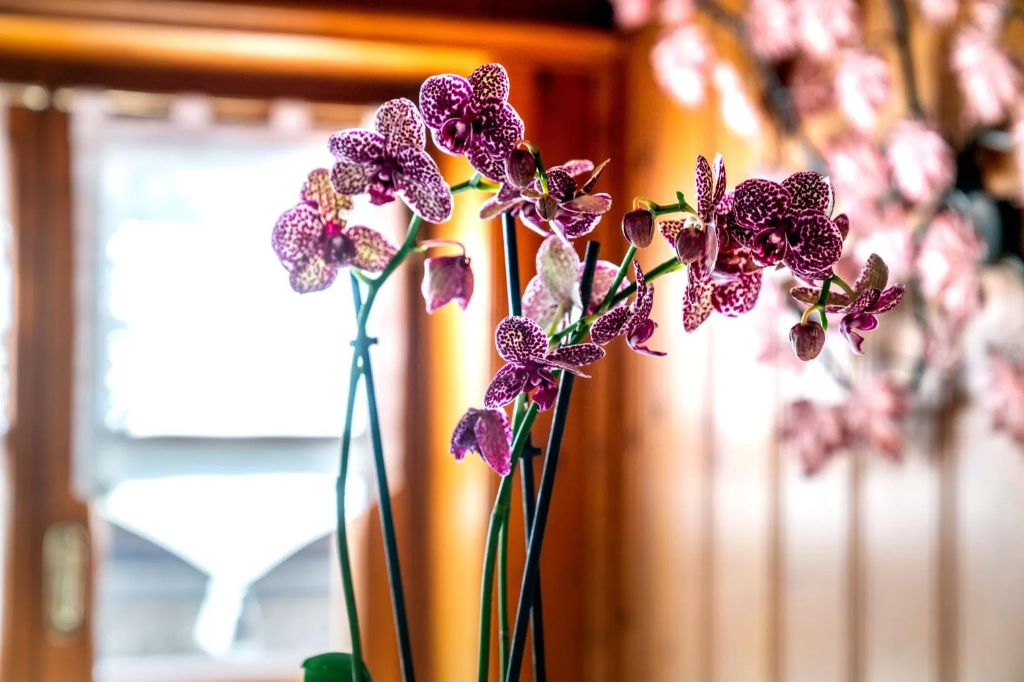 Decorative detail in Ambra Cortina Luxury&Fashion Hotel