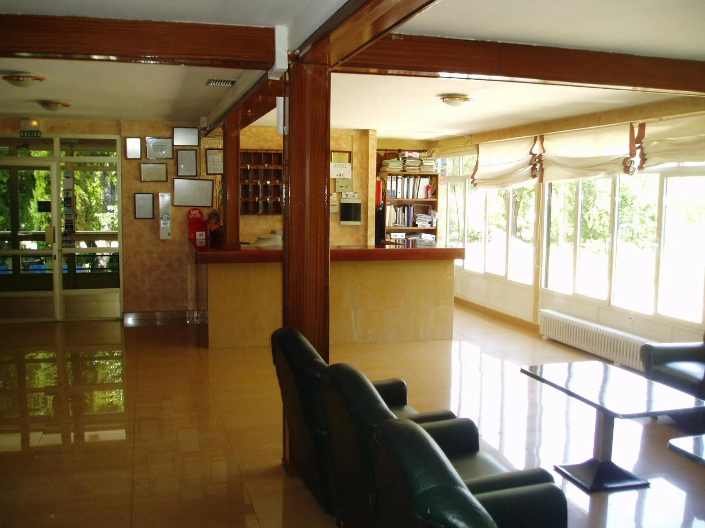 Lobby or reception in Hotel Manzanares