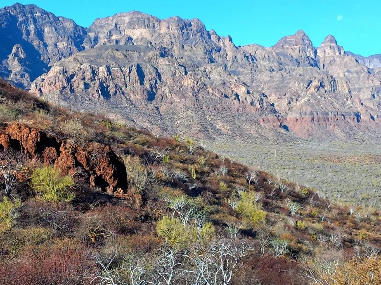 Natural landscape in Tripui Hotel