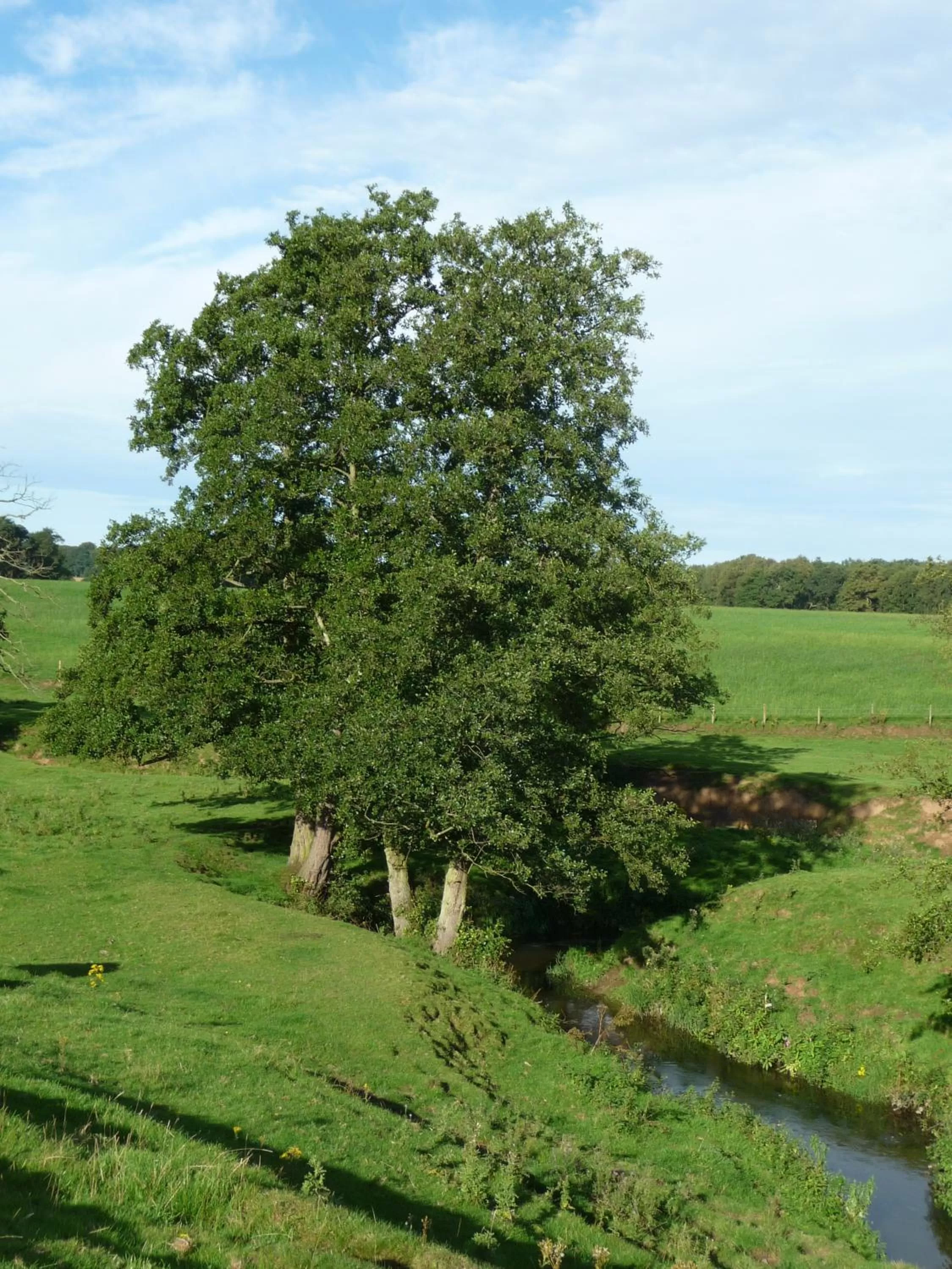 Birtles Farm Bed and Breakfast
