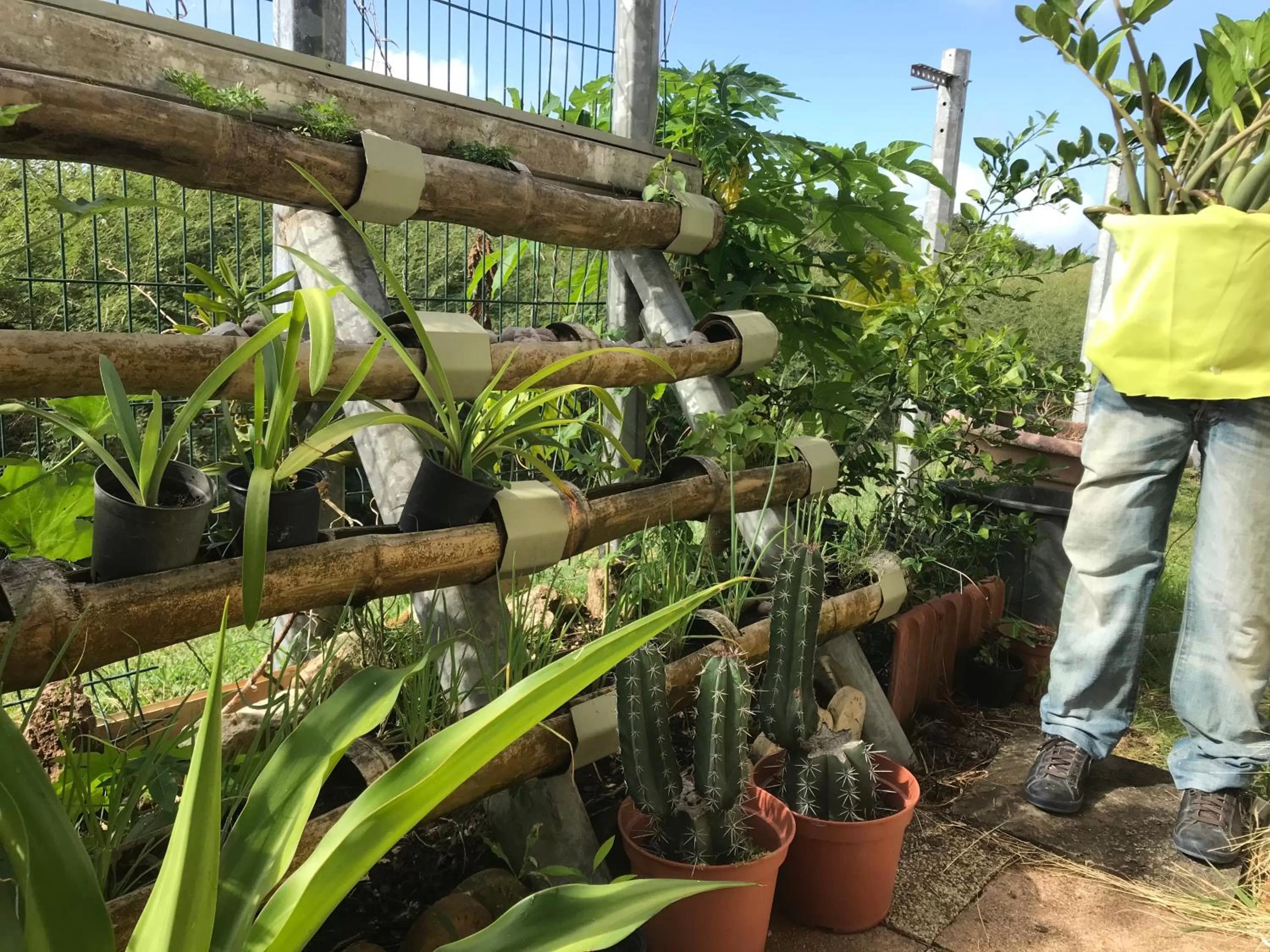 Garden in Bed and breakfast Riviere