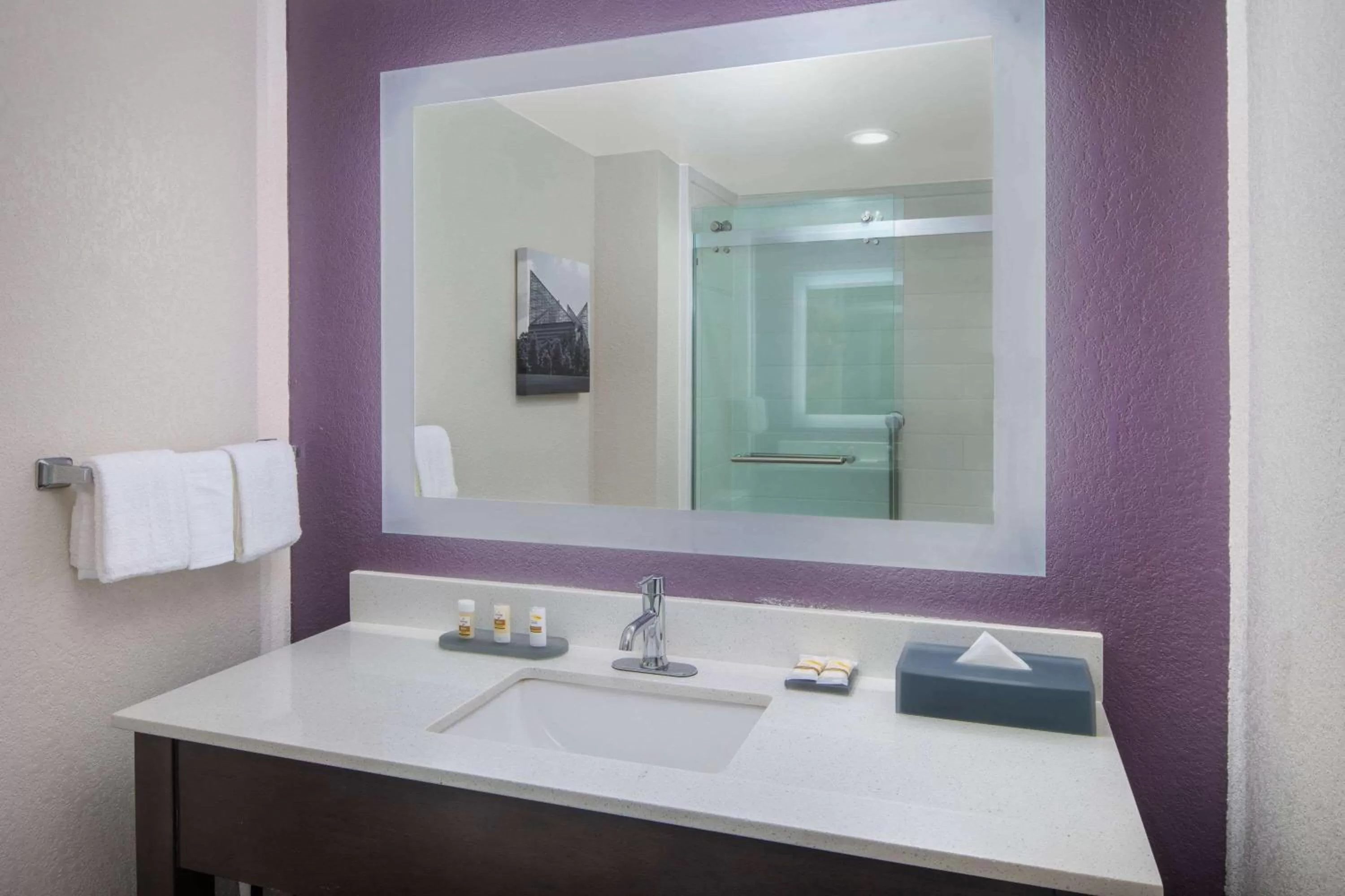 Bathroom in La Quinta by Wyndham Chattanooga - East Ridge