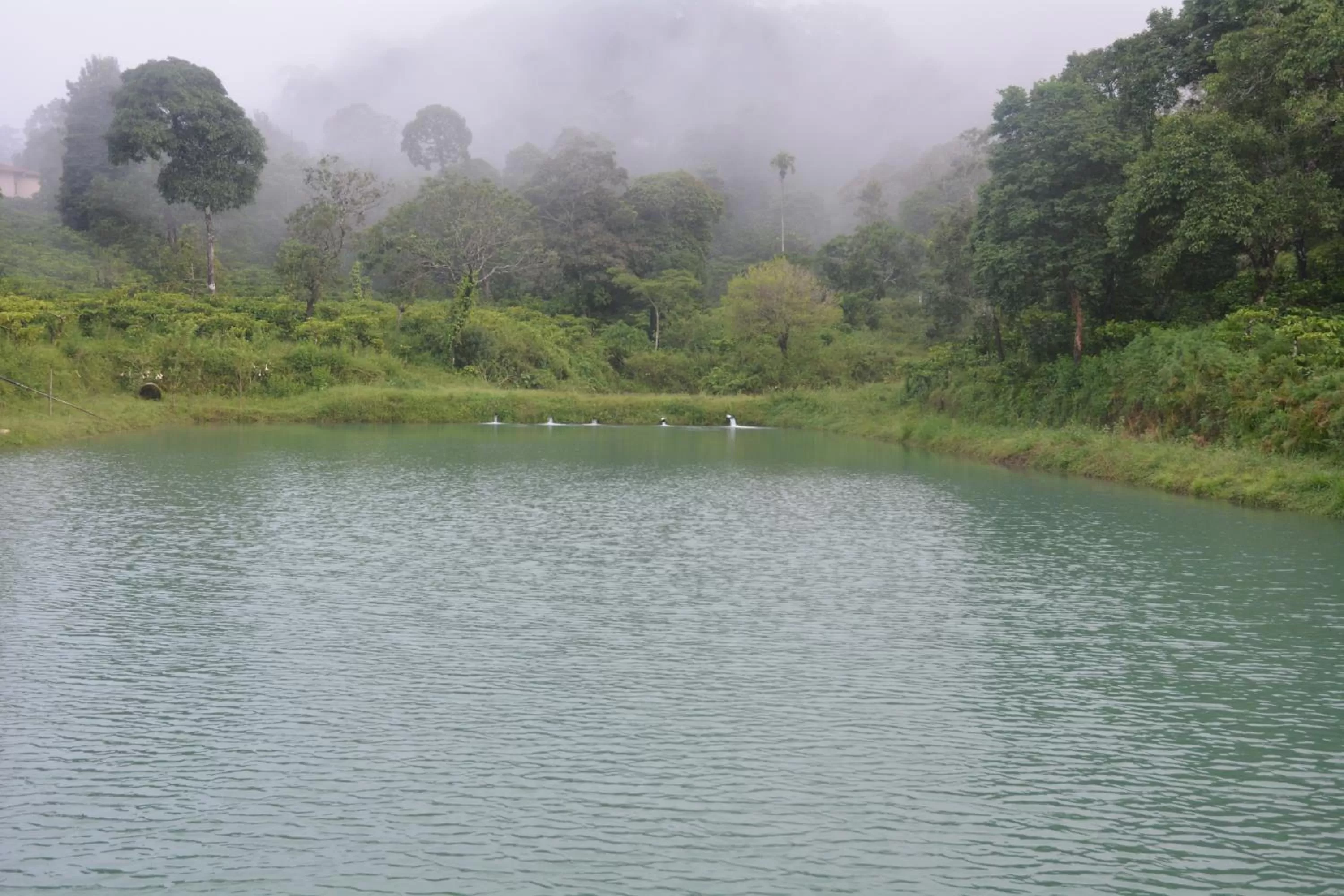 Lake view in Magnolia Estates & Resorts