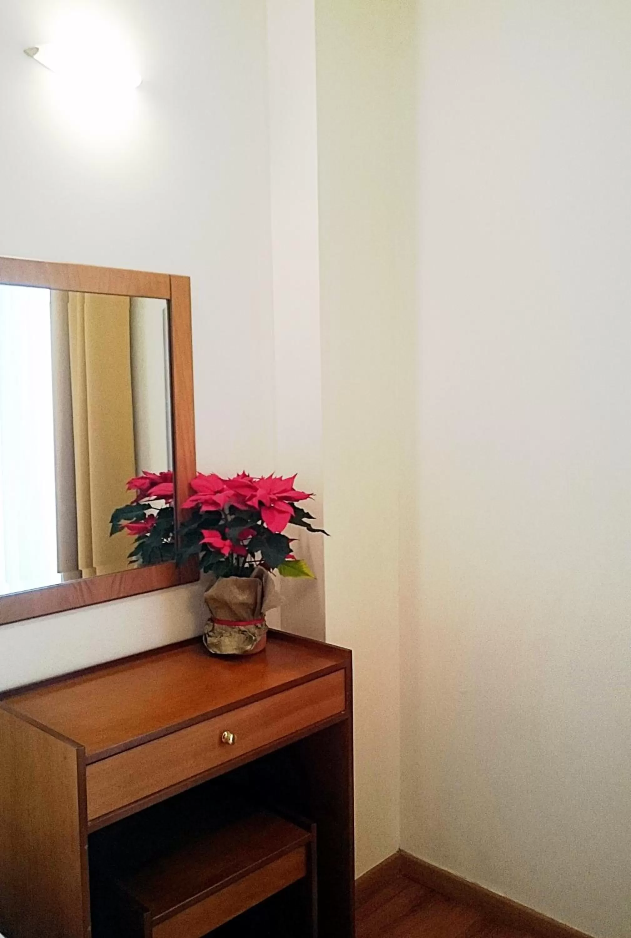 Decorative detail, TV/Entertainment Center in Hotel Rio Athens