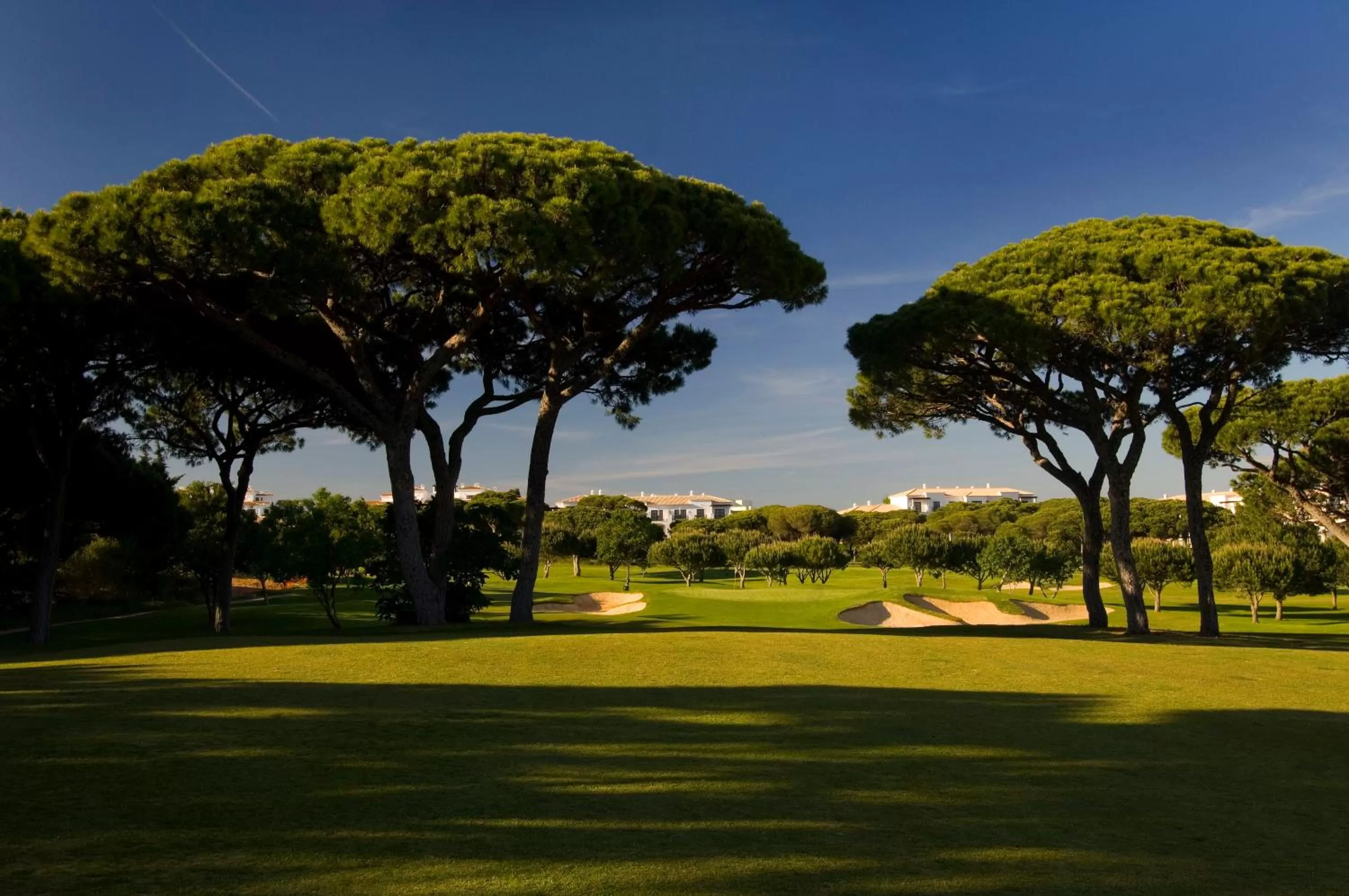 Golfcourse in Pine Cliffs Gardens