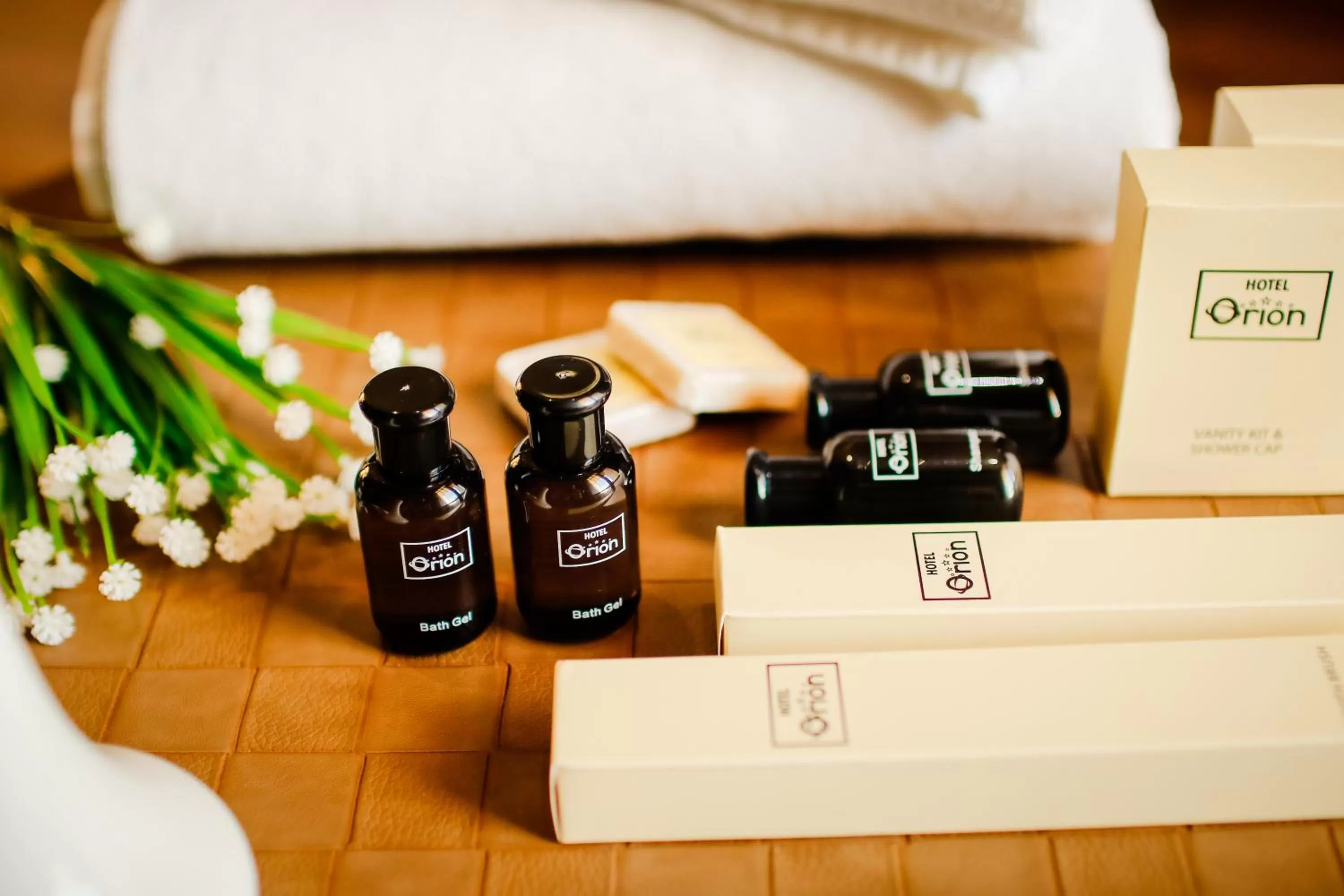 Area and facilities in Hotel Orion Tbilisi