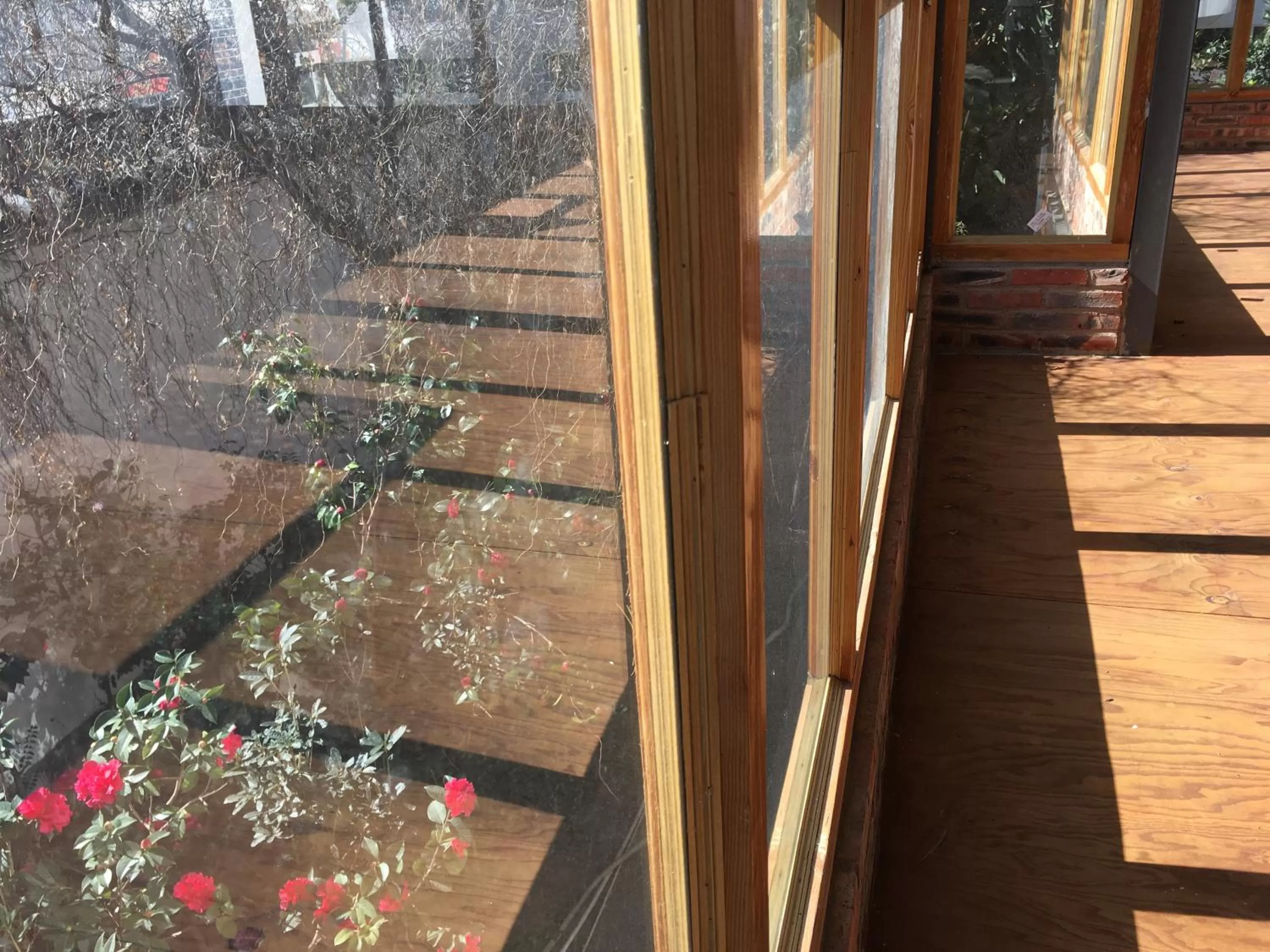 View (from property/room) in The Lily Pad Inn