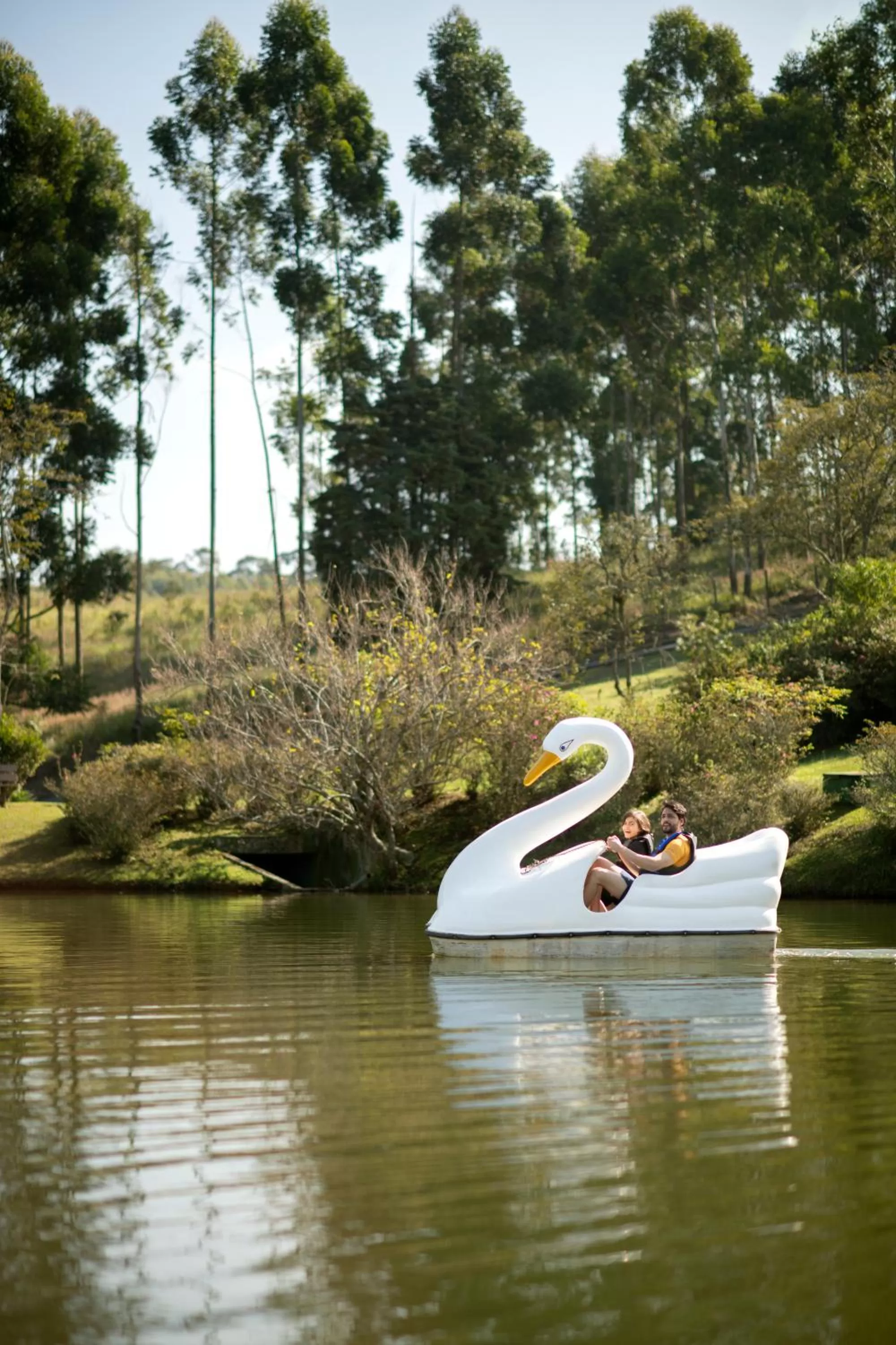 Natural landscape in Hotel Villa Rossa