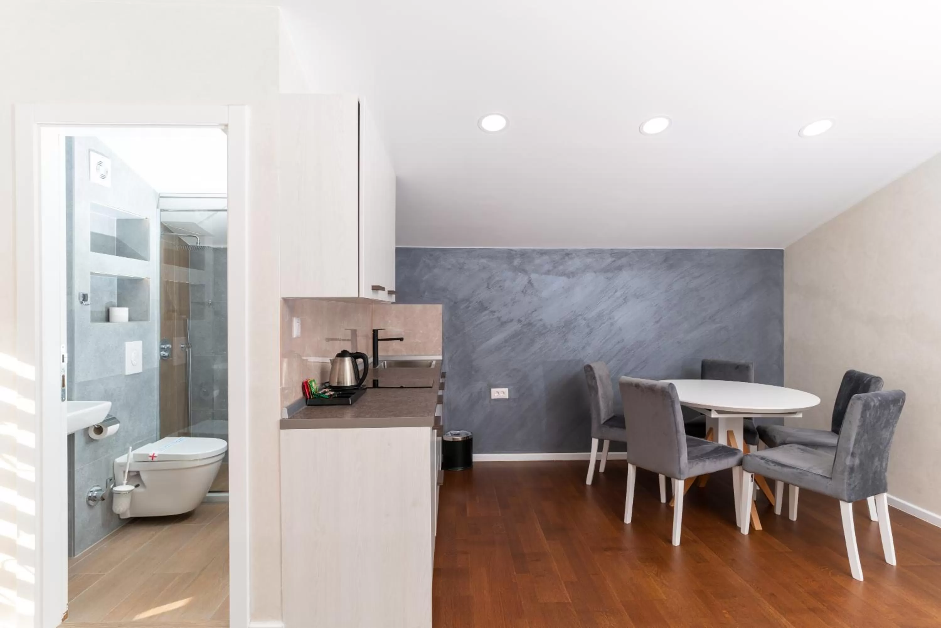 Kitchen or kitchenette in Ornament Hotel and Apartments