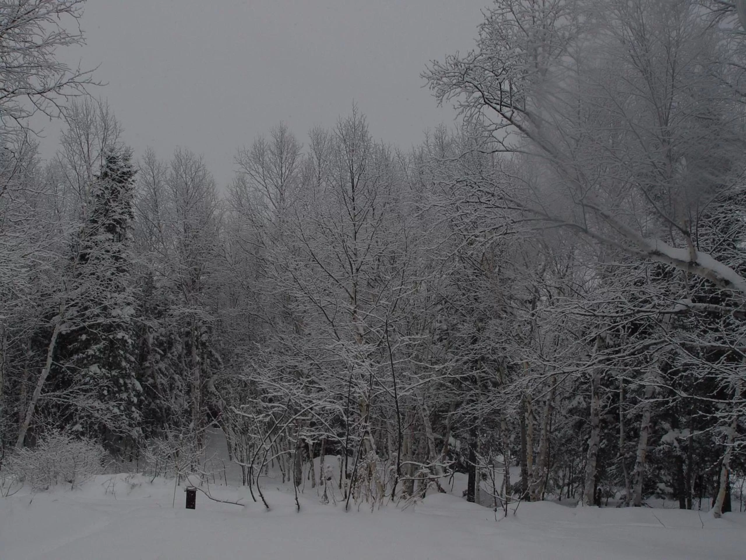 Hiking, Winter in Auberge Carpe Diem