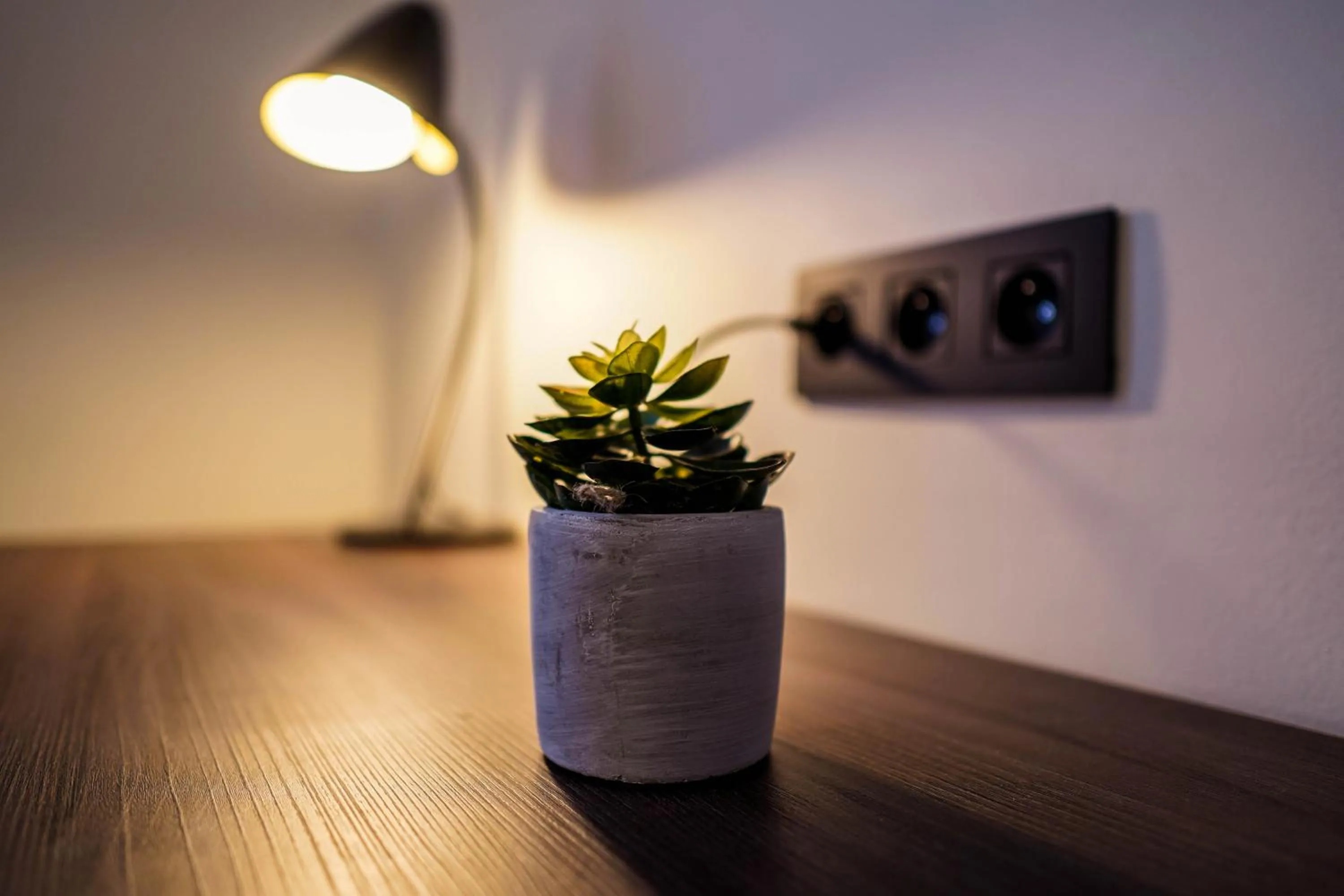 Decorative detail in Hotel Gravensteen