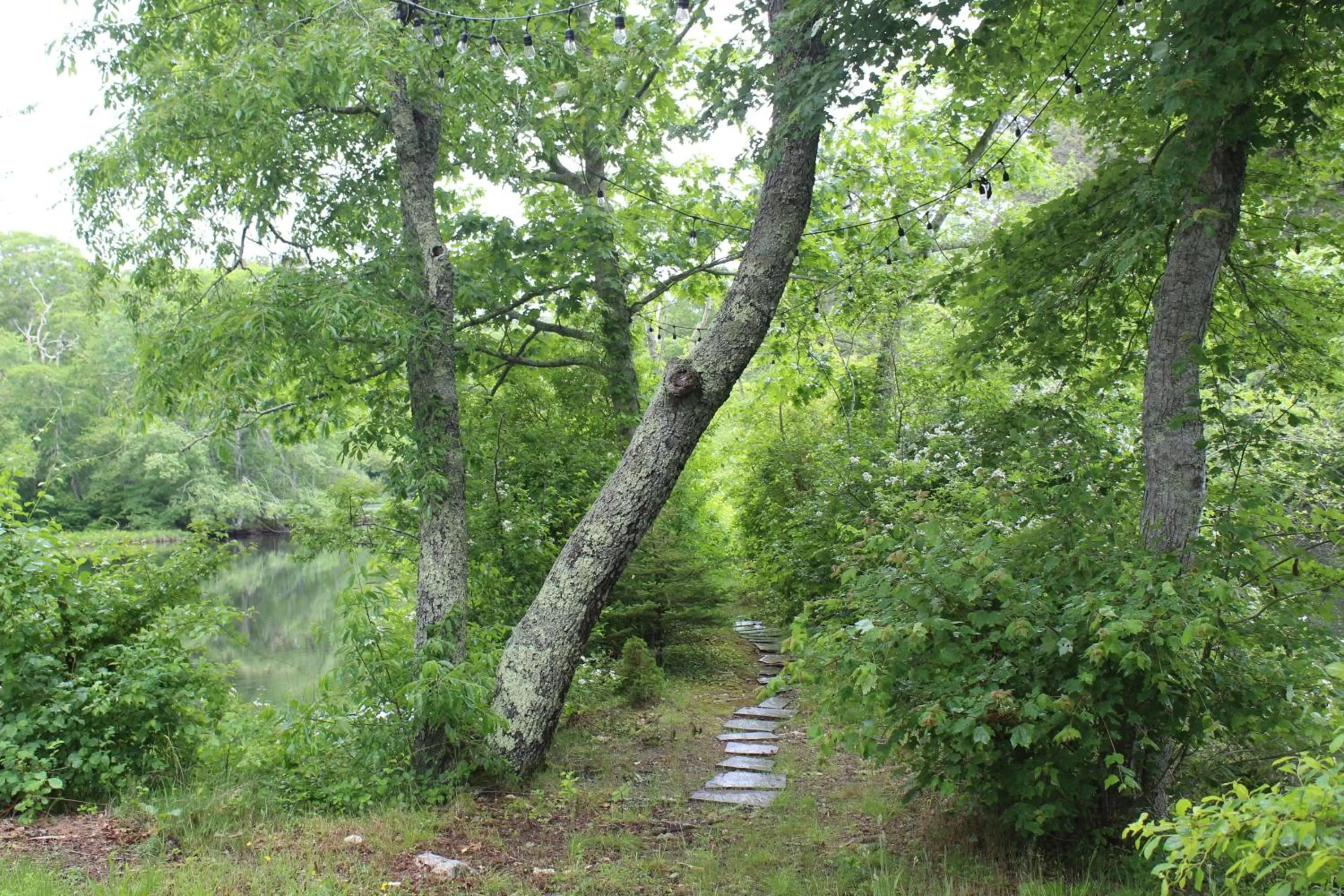 Natural landscape in Herring Run Motel and Tiny Cabins