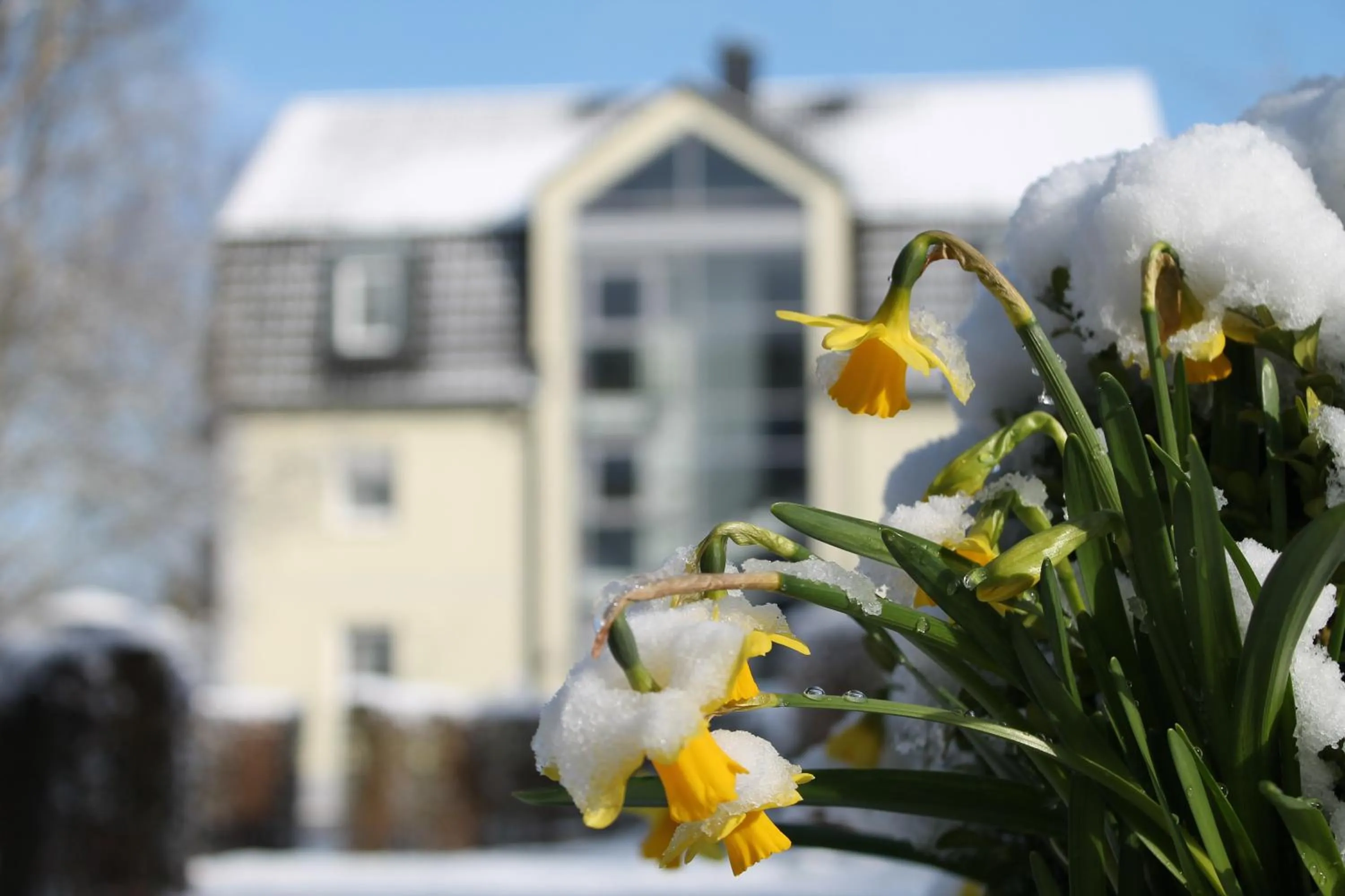 Nearby landmark in Hotel am Wallgraben