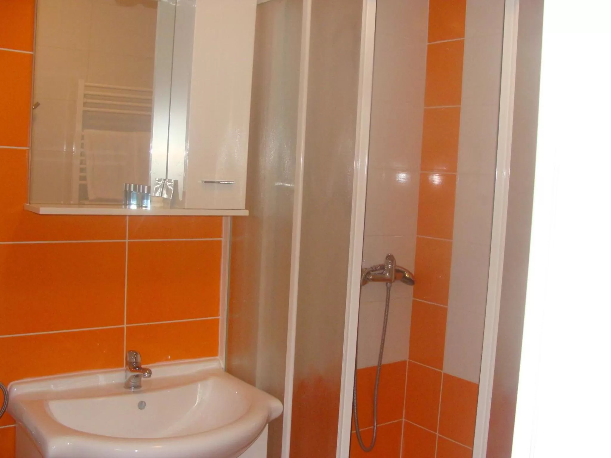 Bathroom in Lugarnica