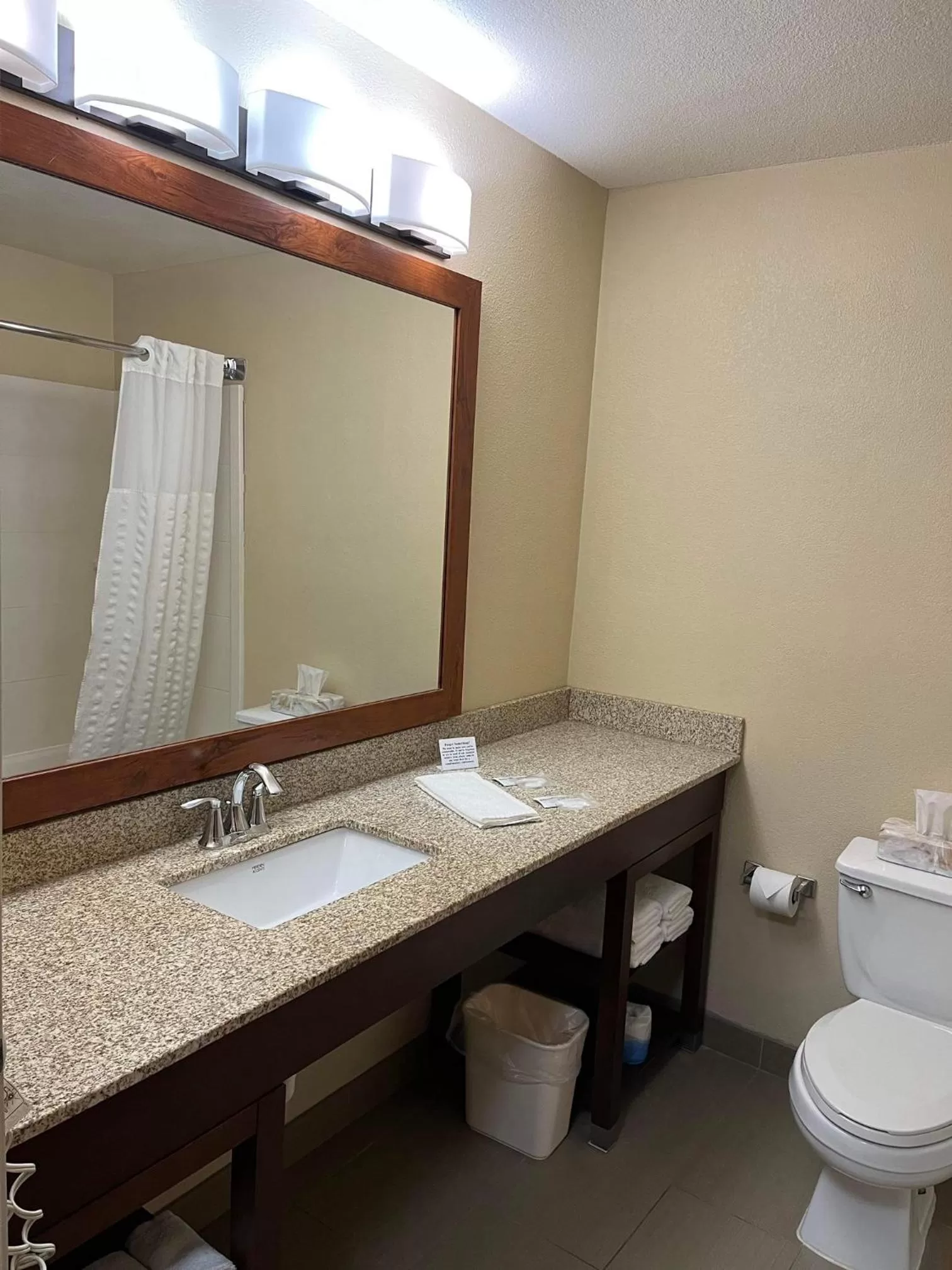 Toilet in Quality Inn & Suites