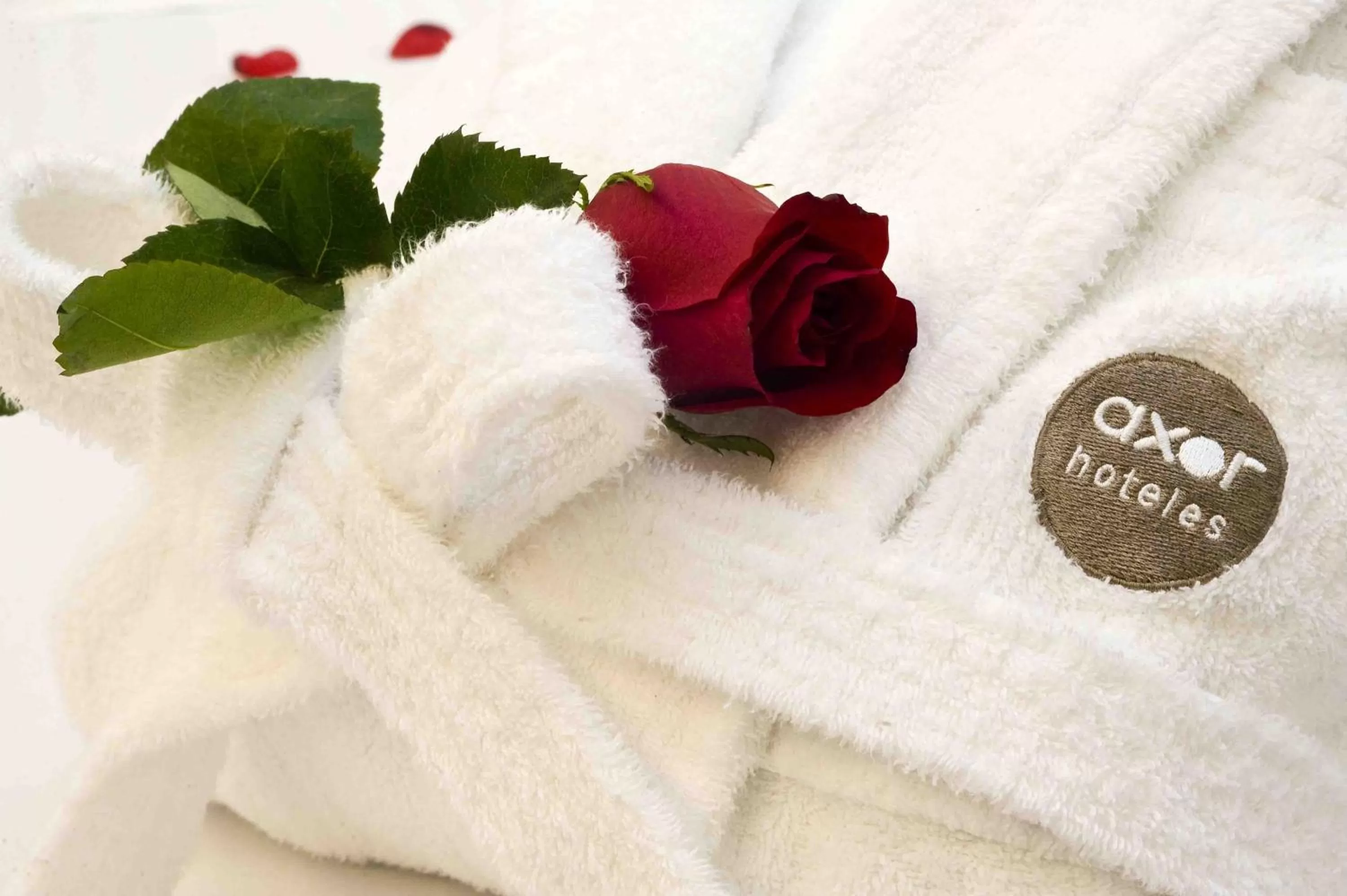 Decorative detail in Axor Feria