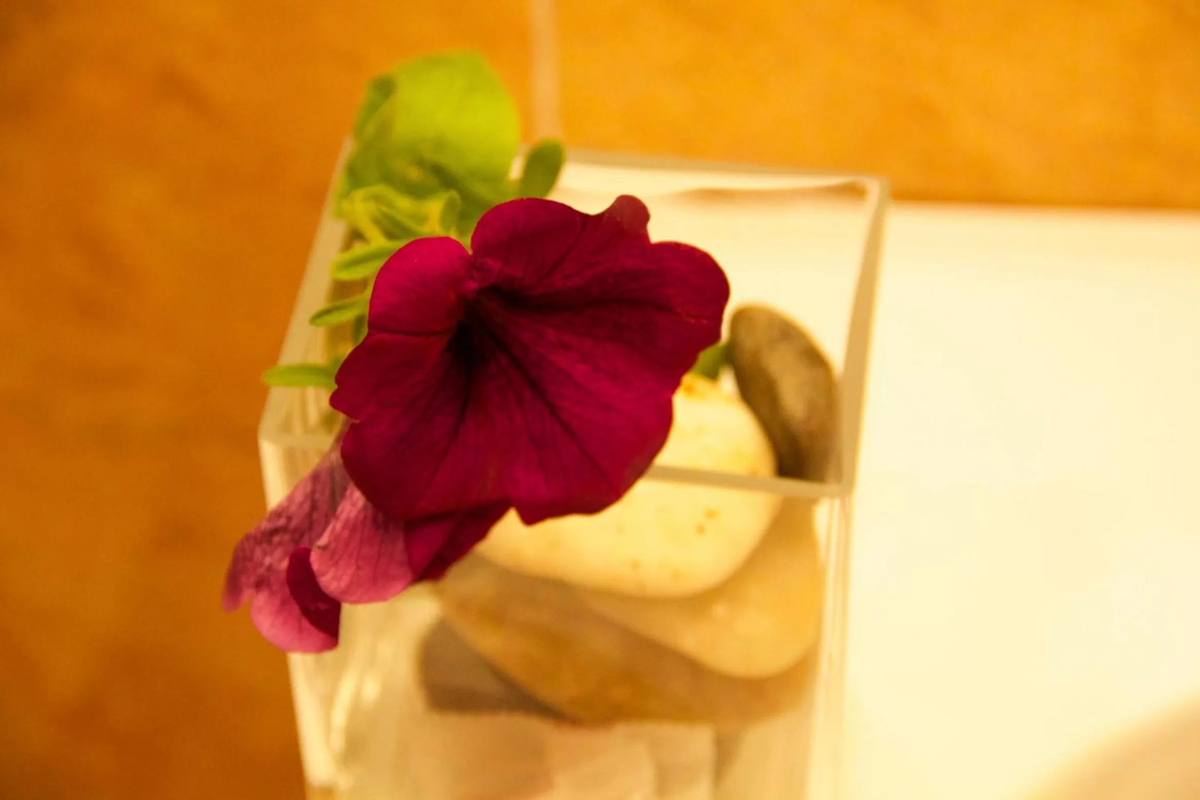 Bathroom in Hotel Novecento