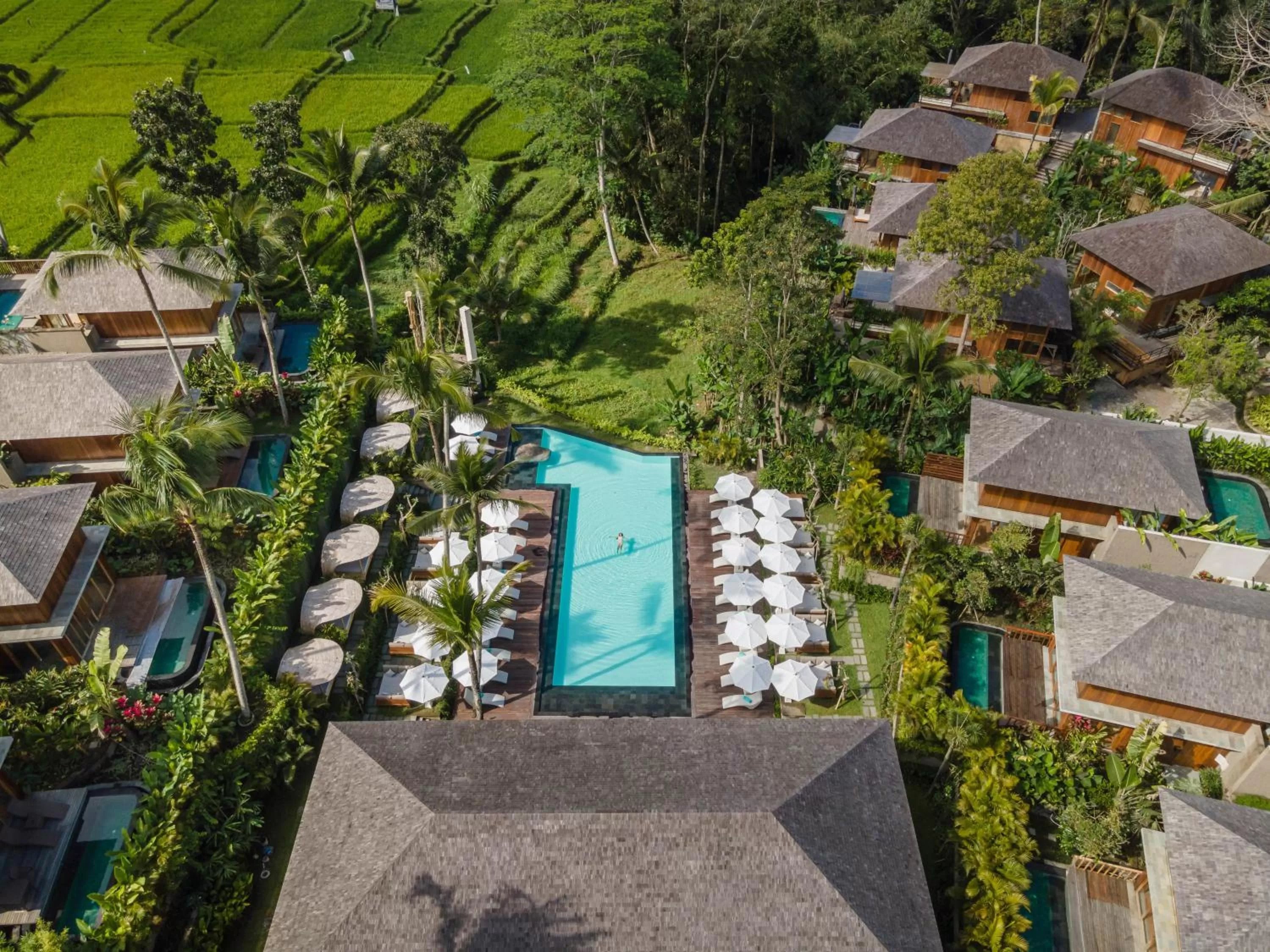 Swimming pool in Kappa Senses Ubud