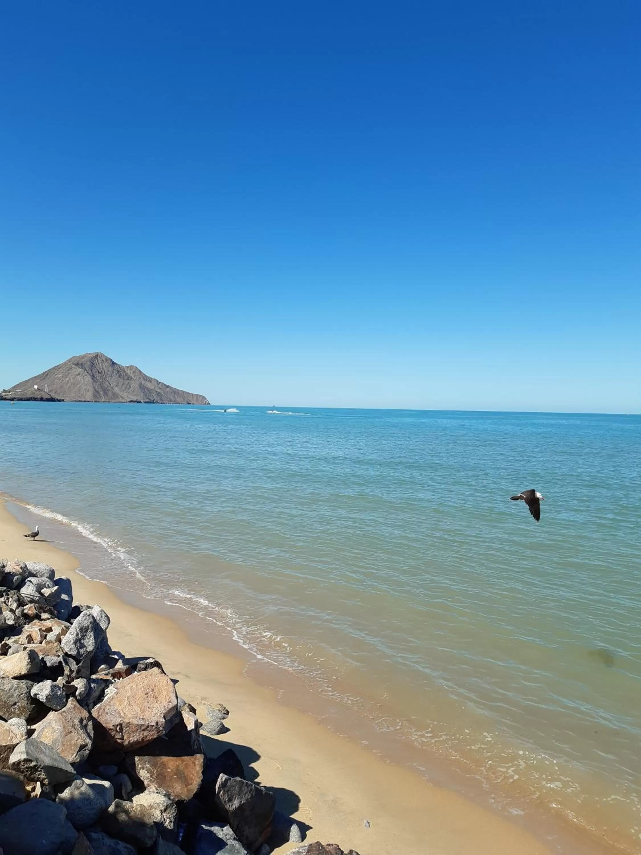 #44#27#56al#67 Rooms 2 beds near beach