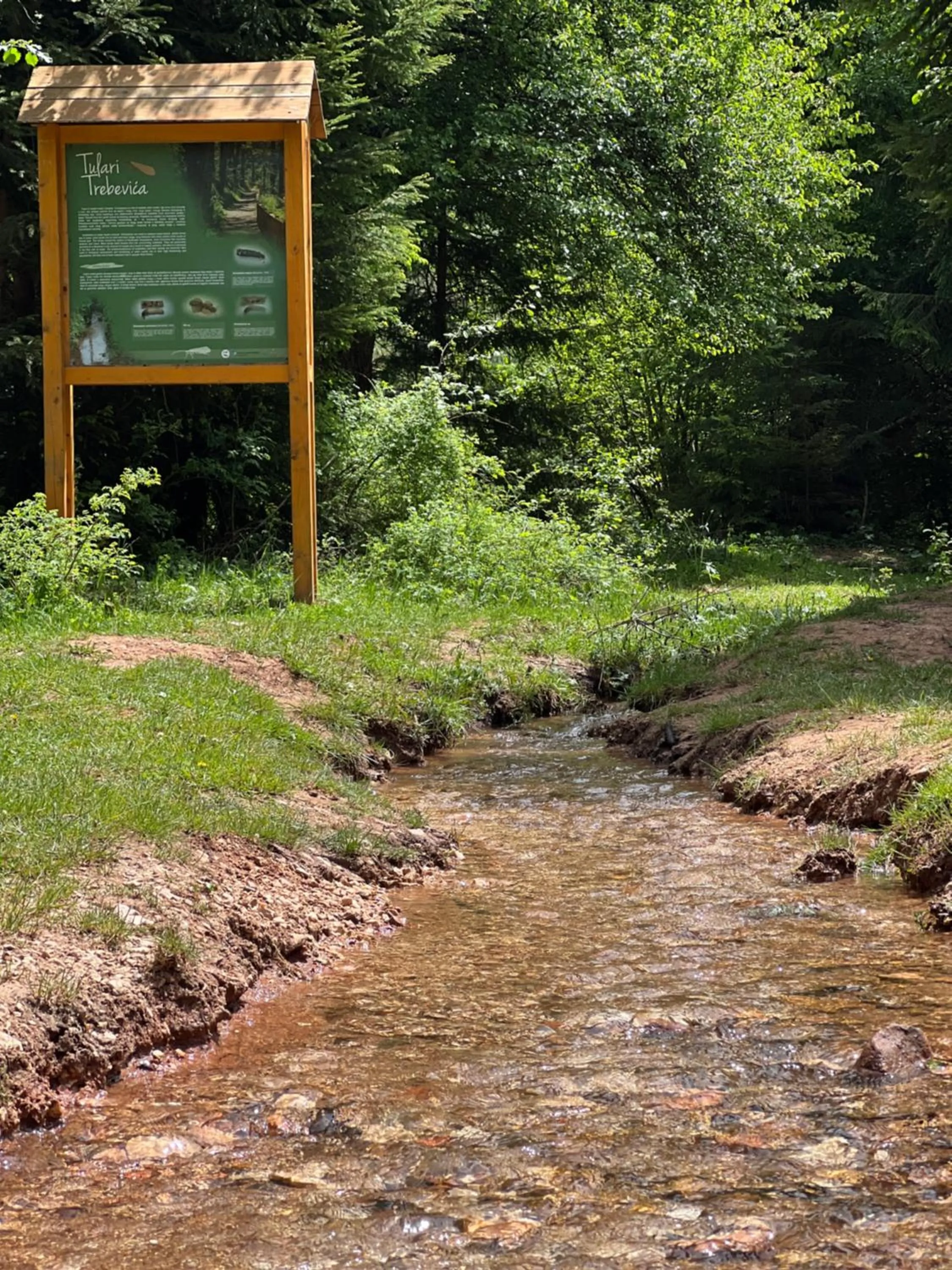 Natural landscape in Pino Nature Hotel, BW Premier Collection