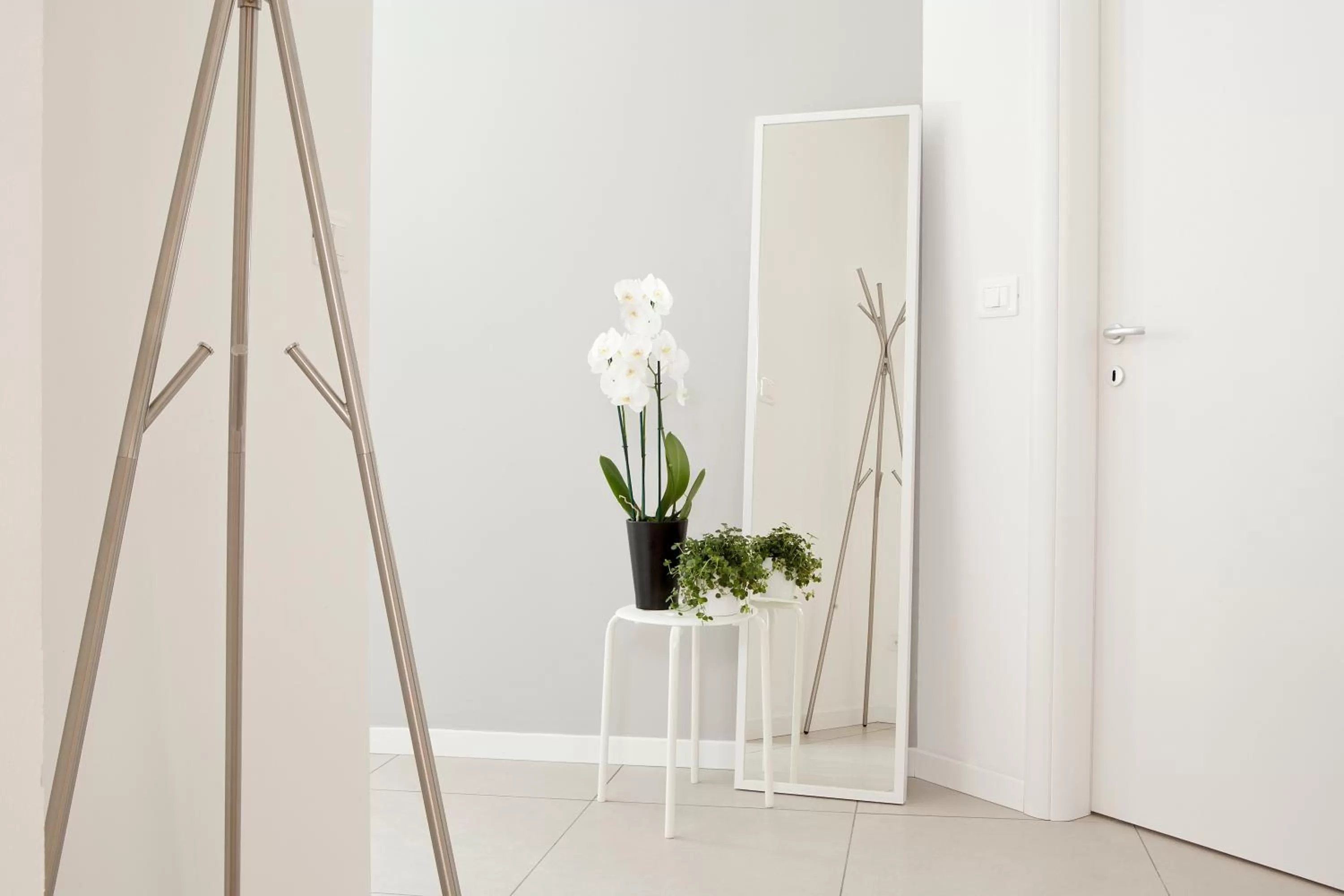 Other in Palazzo Talenti 1907