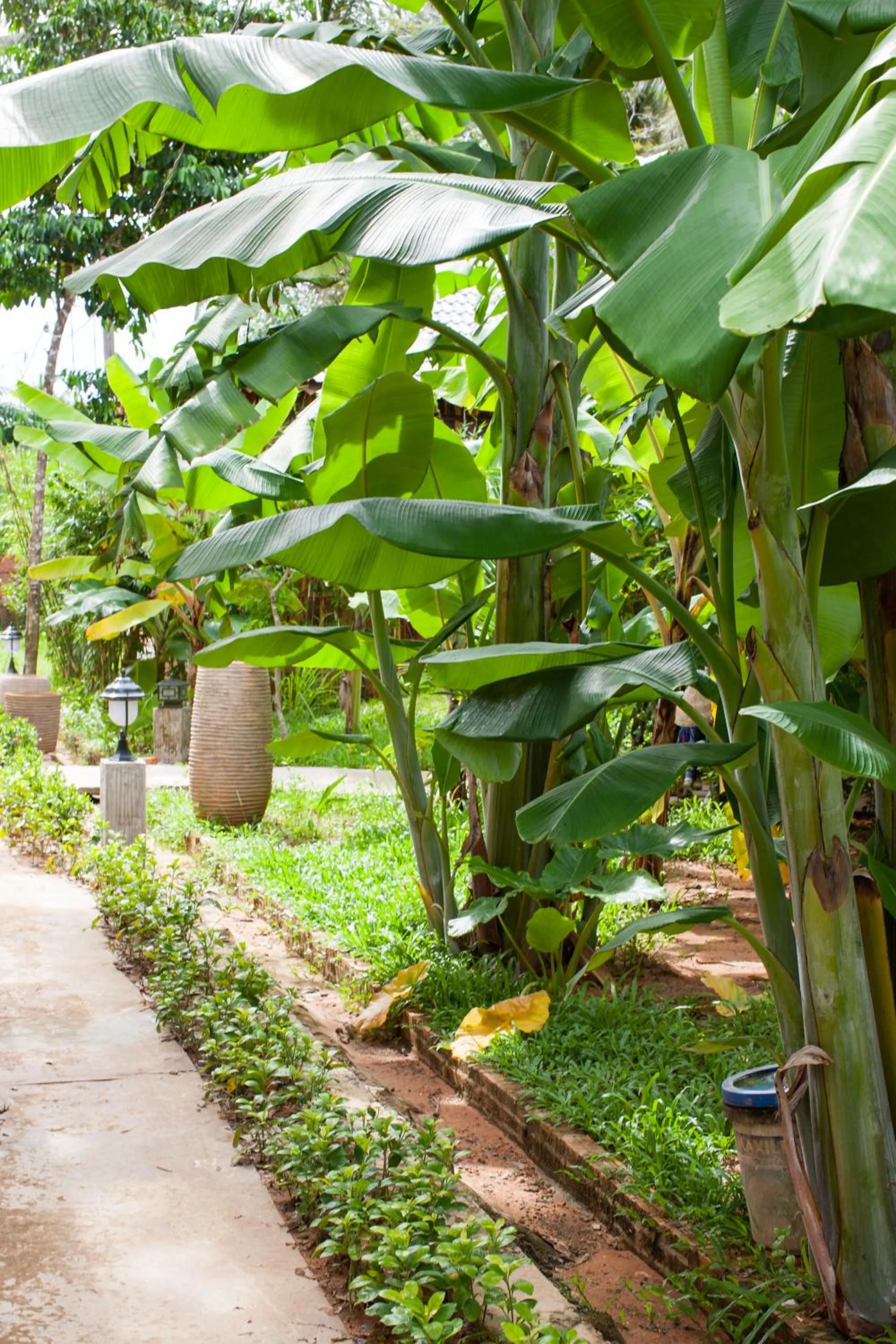 Garden in Elwood Premier Resort Phu Quoc