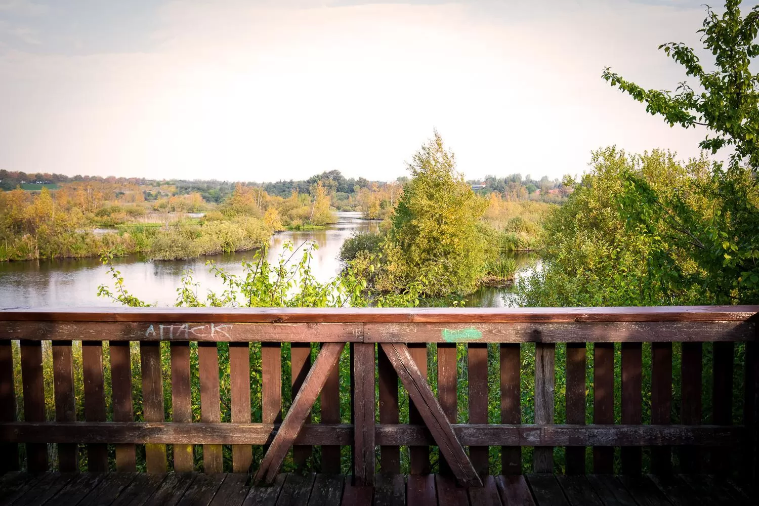 Natural landscape in Hotel Lautrup Park