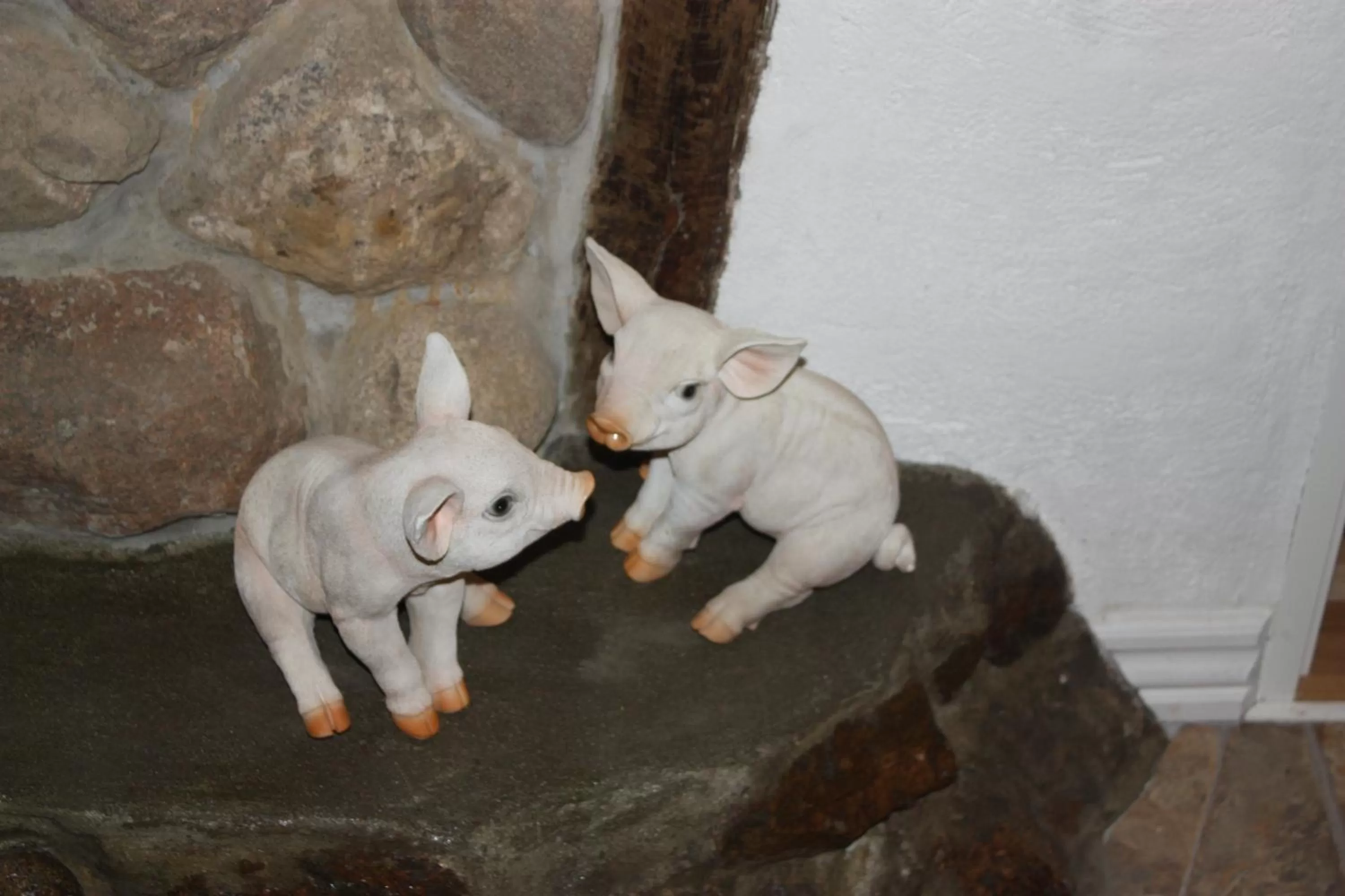 Off site, Pets in Billund Resort – Ravning