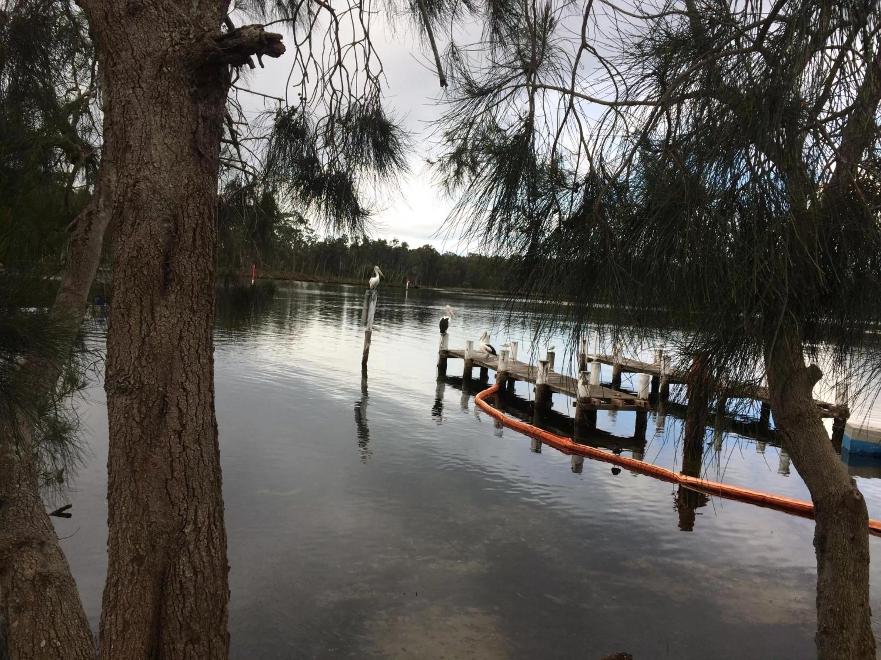 Natural landscape in Peace Resorts - Jervis Bay Holiday Cabins in Sussex Inlet