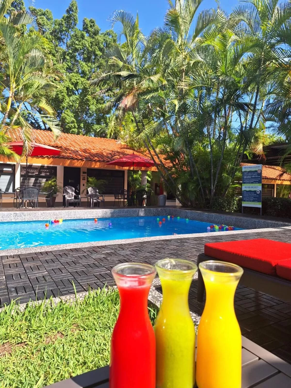 Day in Hotel Palmareca