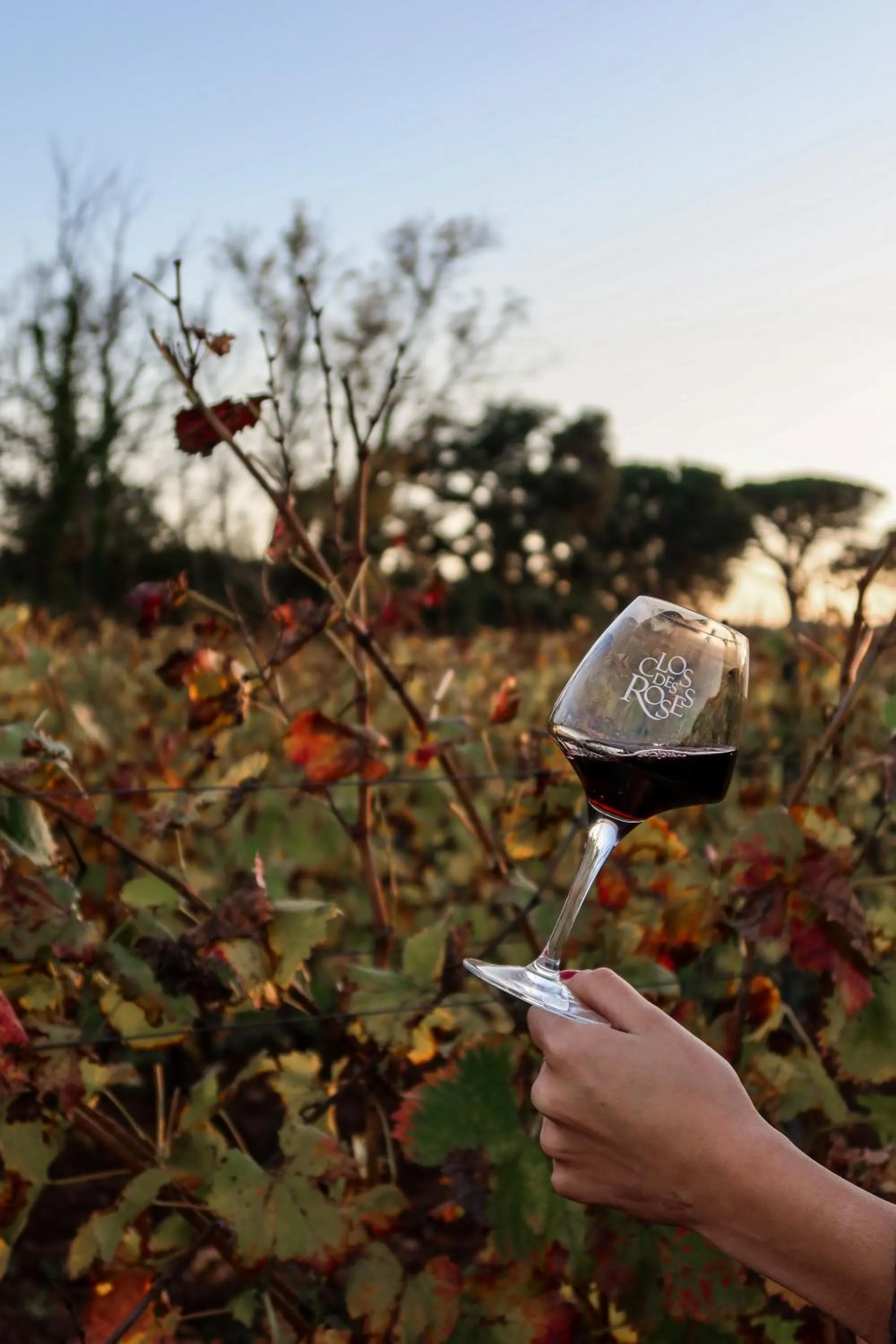 Natural landscape in La Bastide Du Clos des Roses - Teritoria