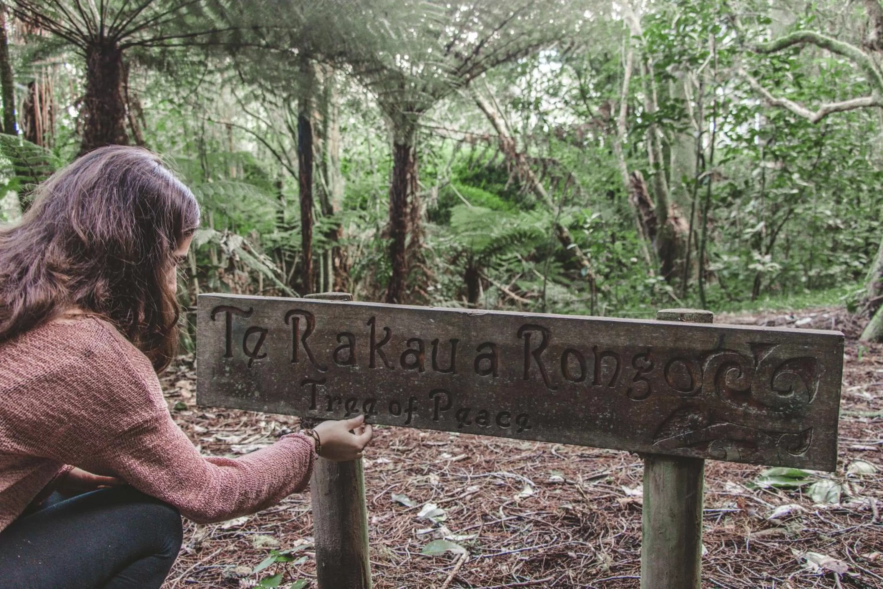 Natural landscape, Property Logo/Sign in Kawai Purapura Yoga Retreat Centre