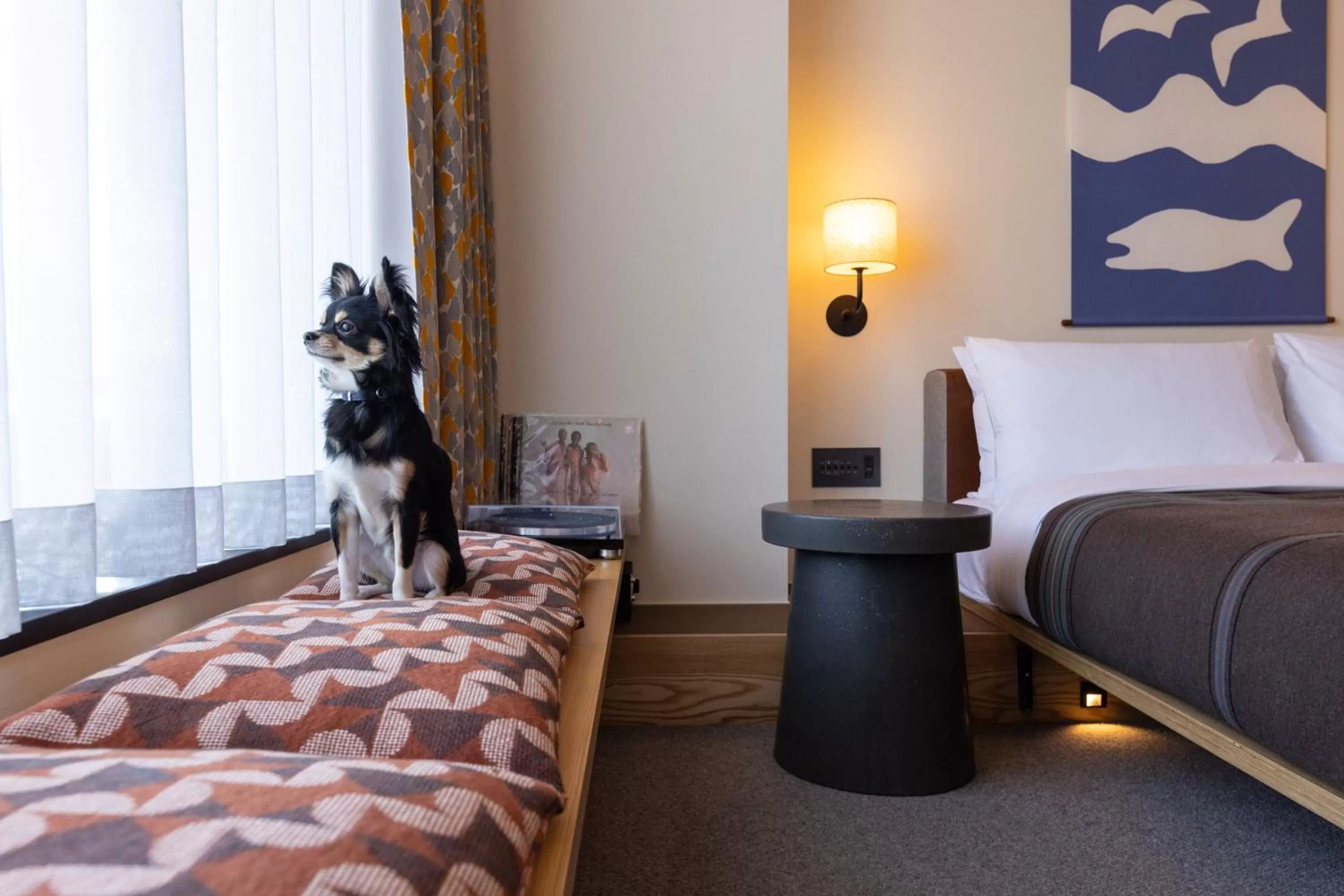 Photo of the whole room, Bed in Ace Hotel Kyoto