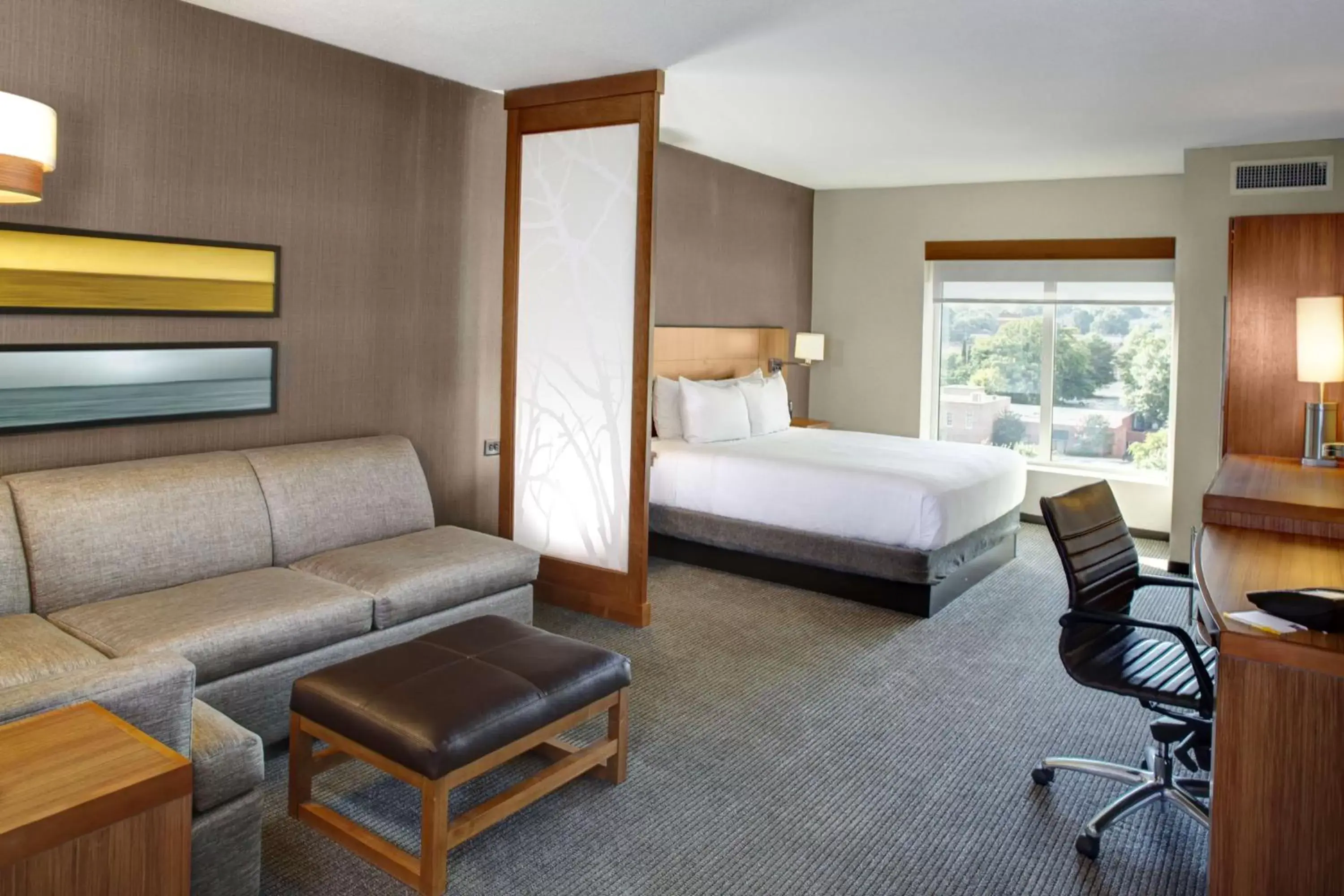 King Room with Sofa Bed and Roll-In Shower - Disability Access in Hyatt Place Columbia/Downtown/The Vista King Room with Sofa Bed and Roll-In Shower - Disability Access in Hyatt Place Columbia/Downtown/The Vista