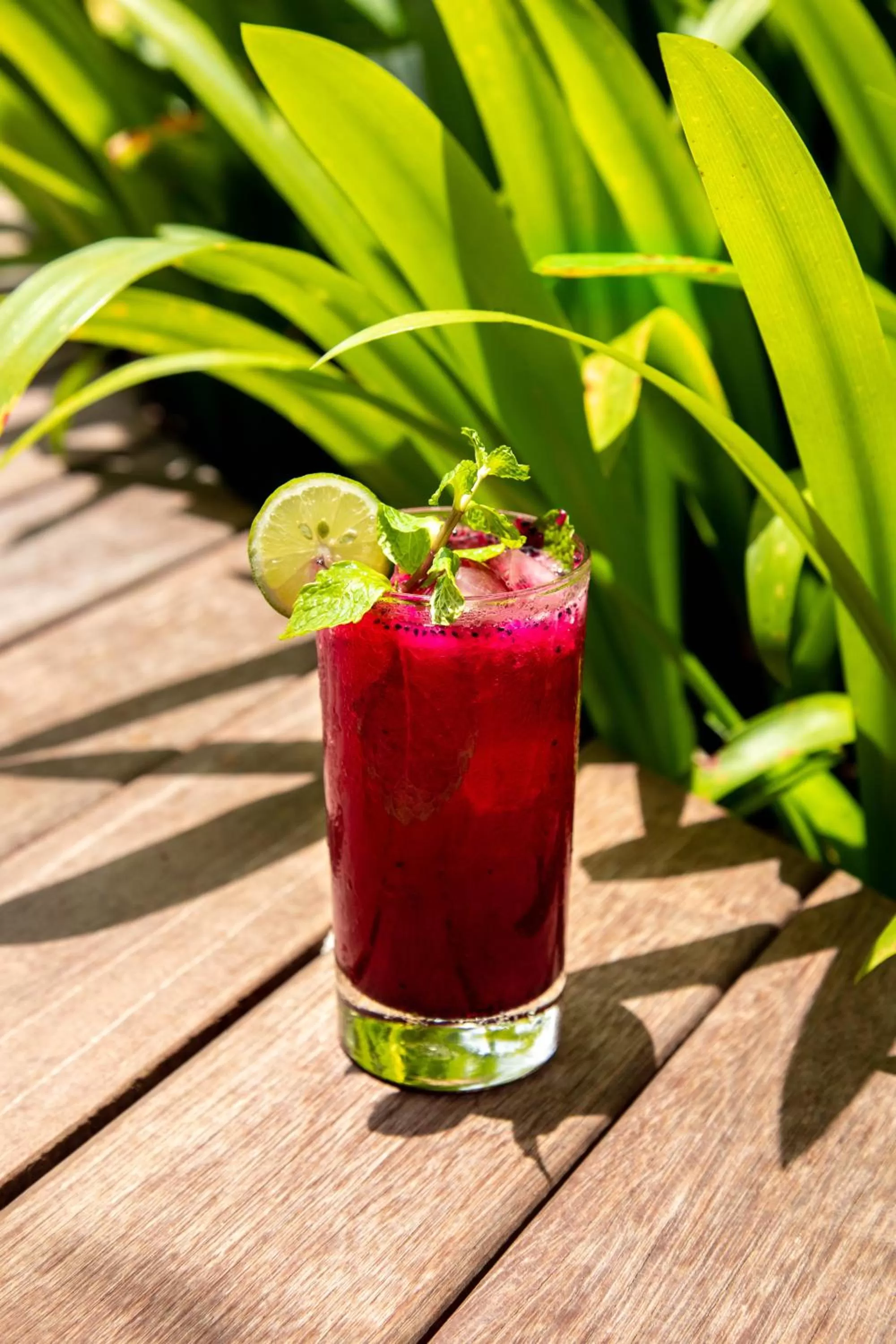 Drinks in Deep Roots Dive & Yoga Resort