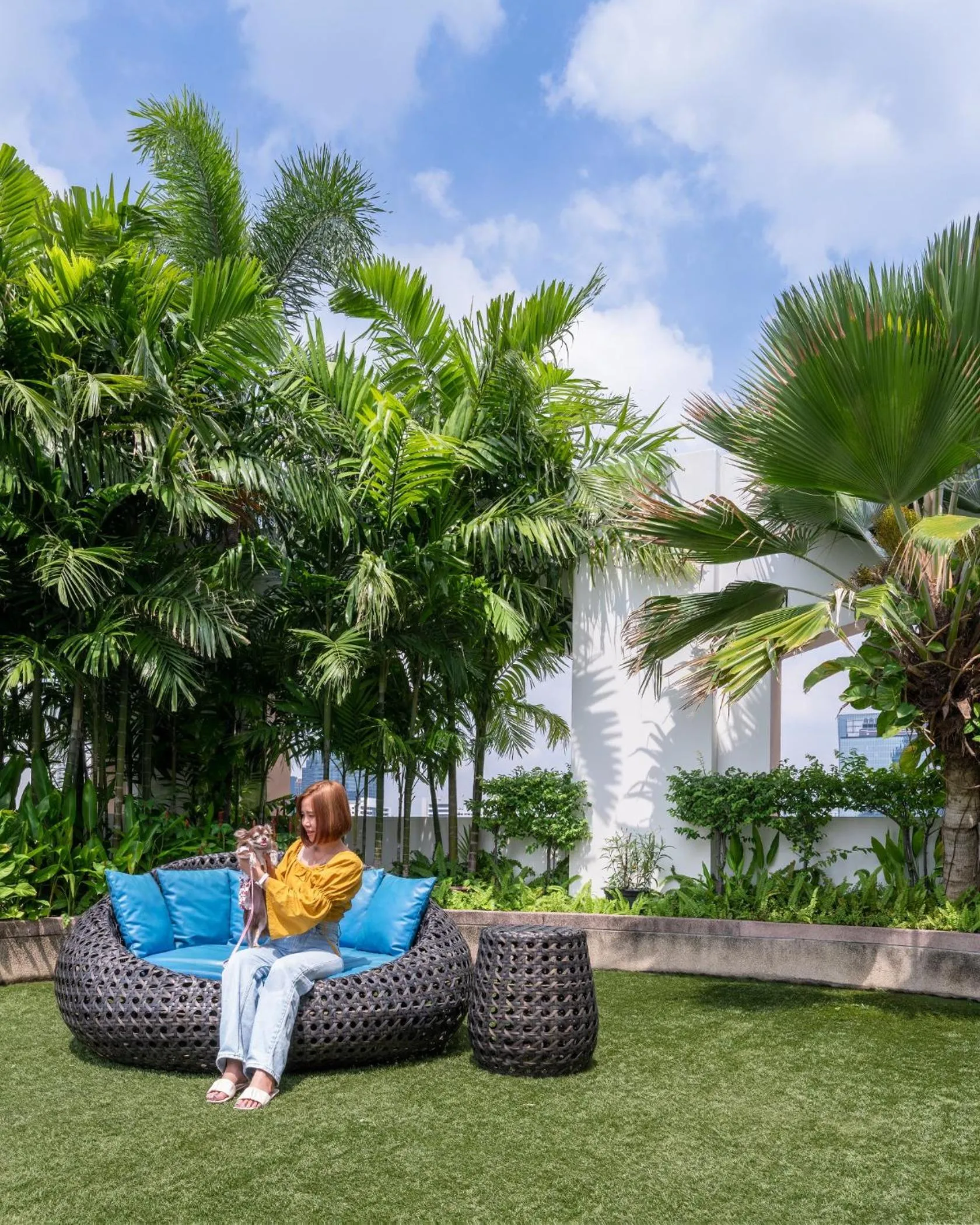 Pets in Grand Mercure Bangkok Asoke Residence