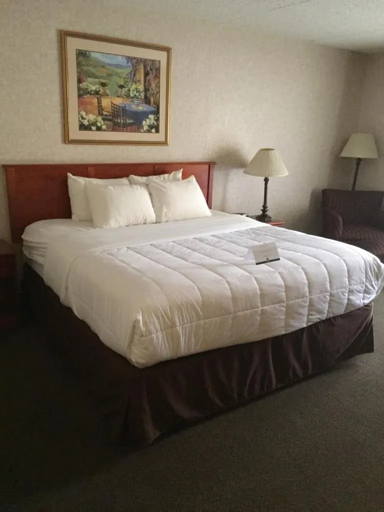 King Room with Pool View - Non Smoking in Quality Inn & Suites Downtown - University Area