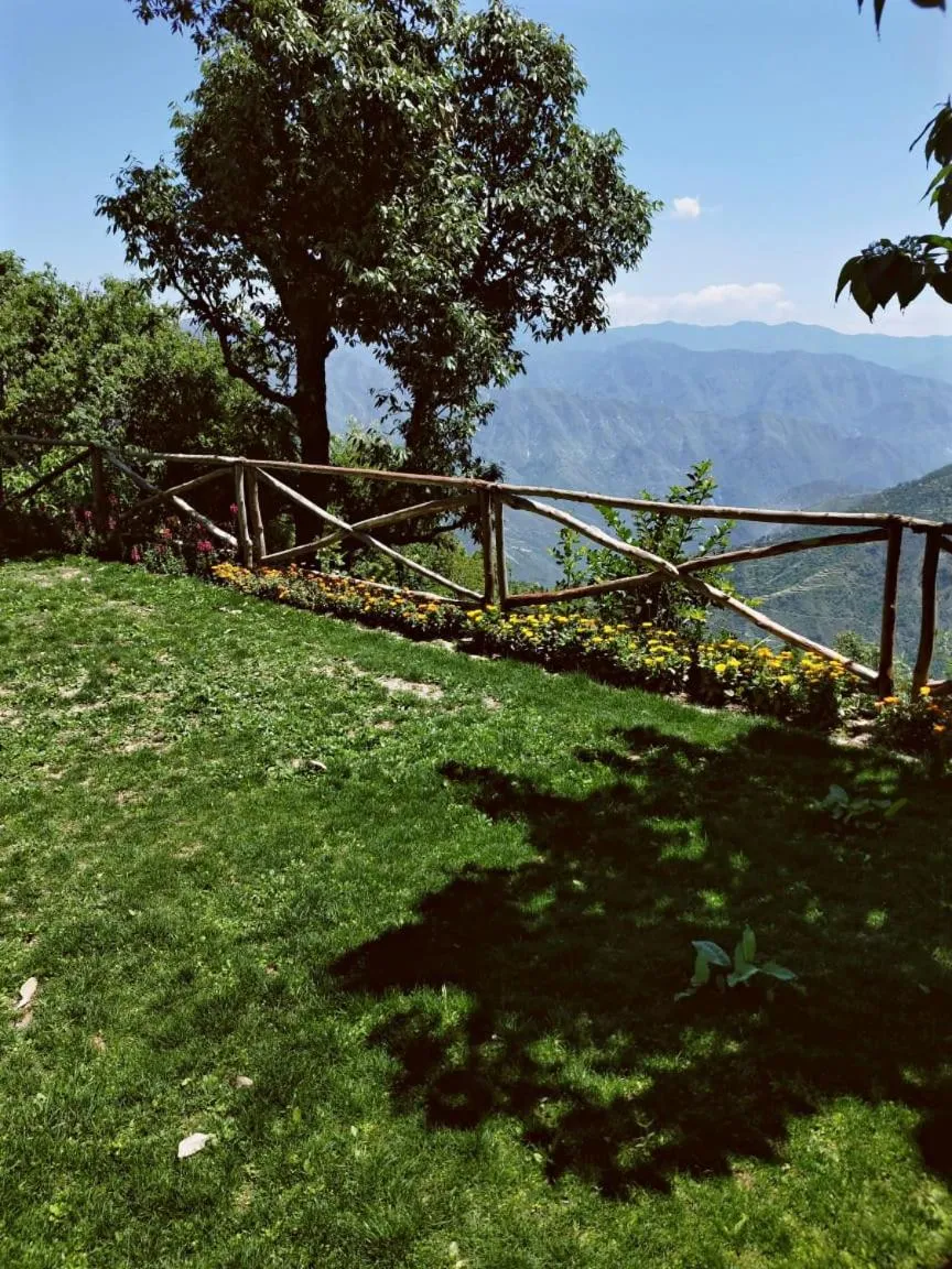 Natural landscape in The Mountain Quail