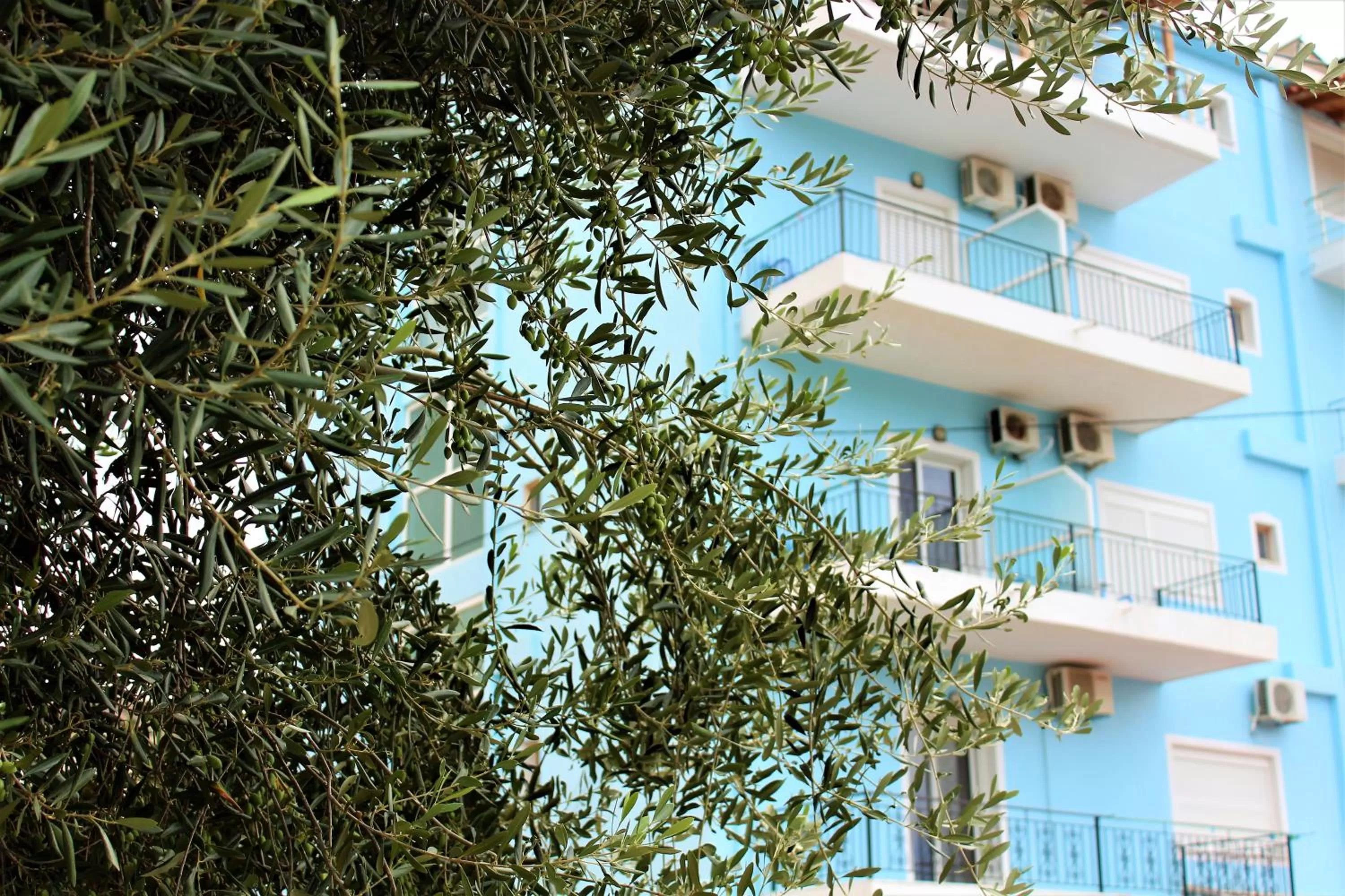 Property building in Hotel Frida