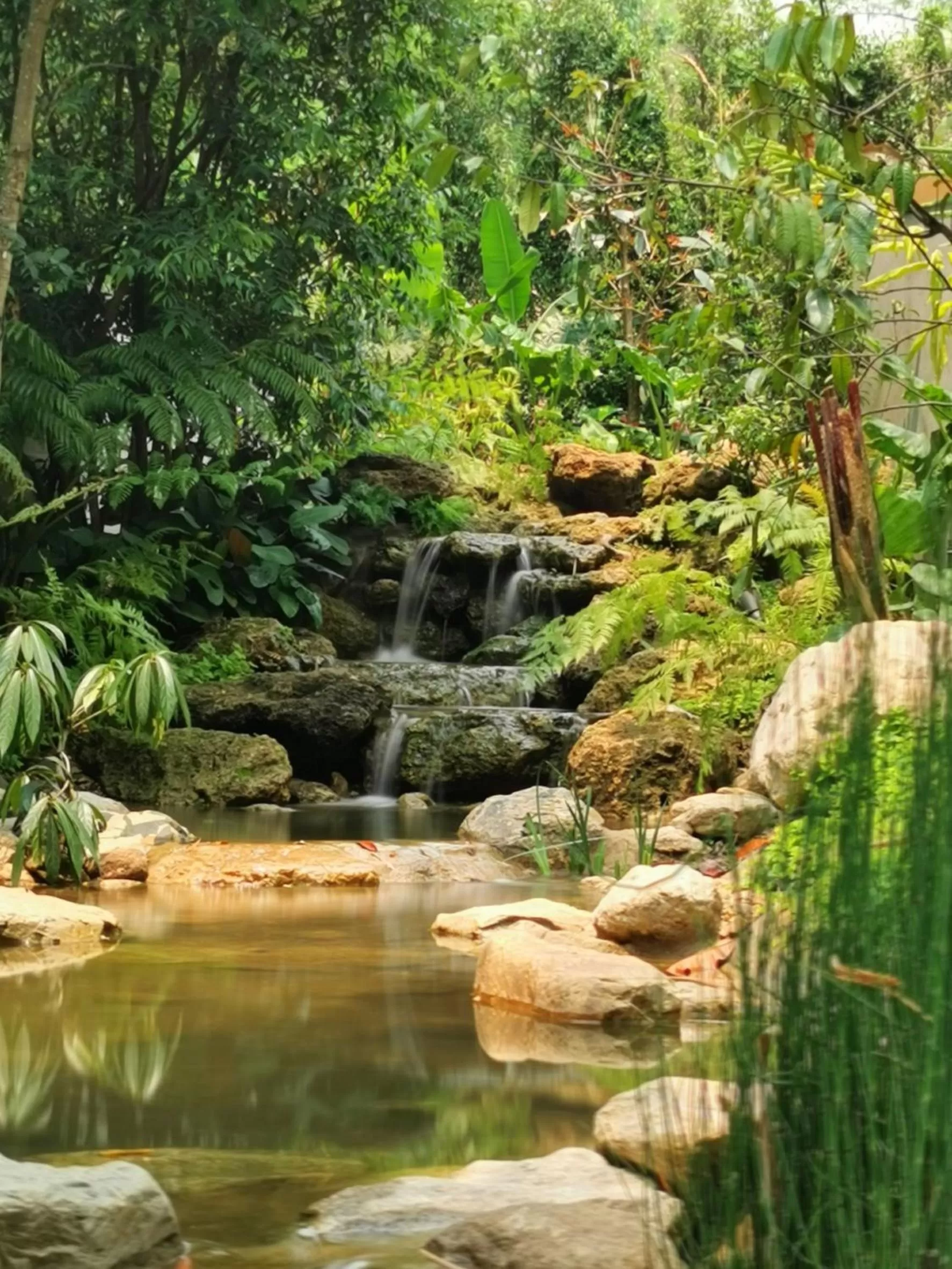 Natural landscape in Proud Phu Fah Muang Chiang Mai